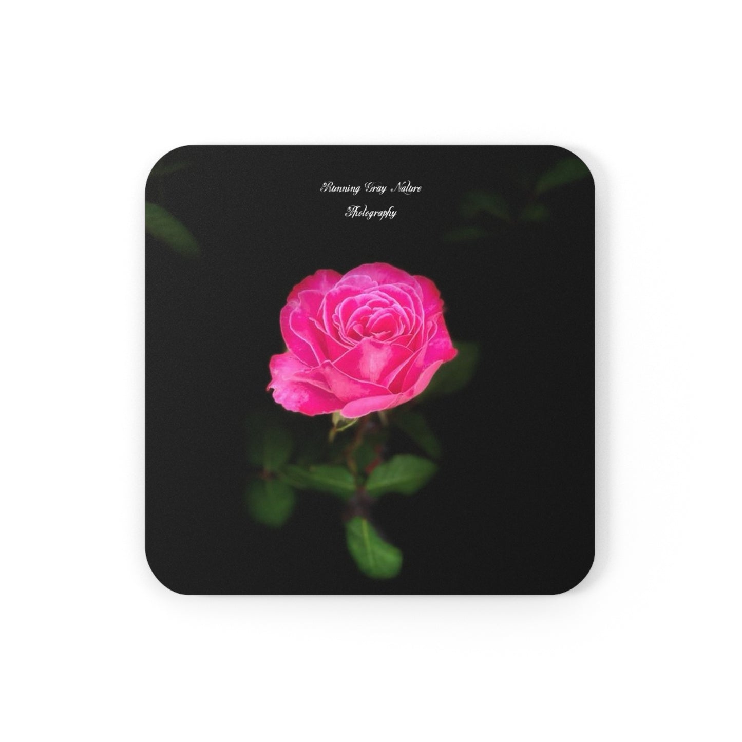 A pink Peace Rose Corkwood Coaster Set