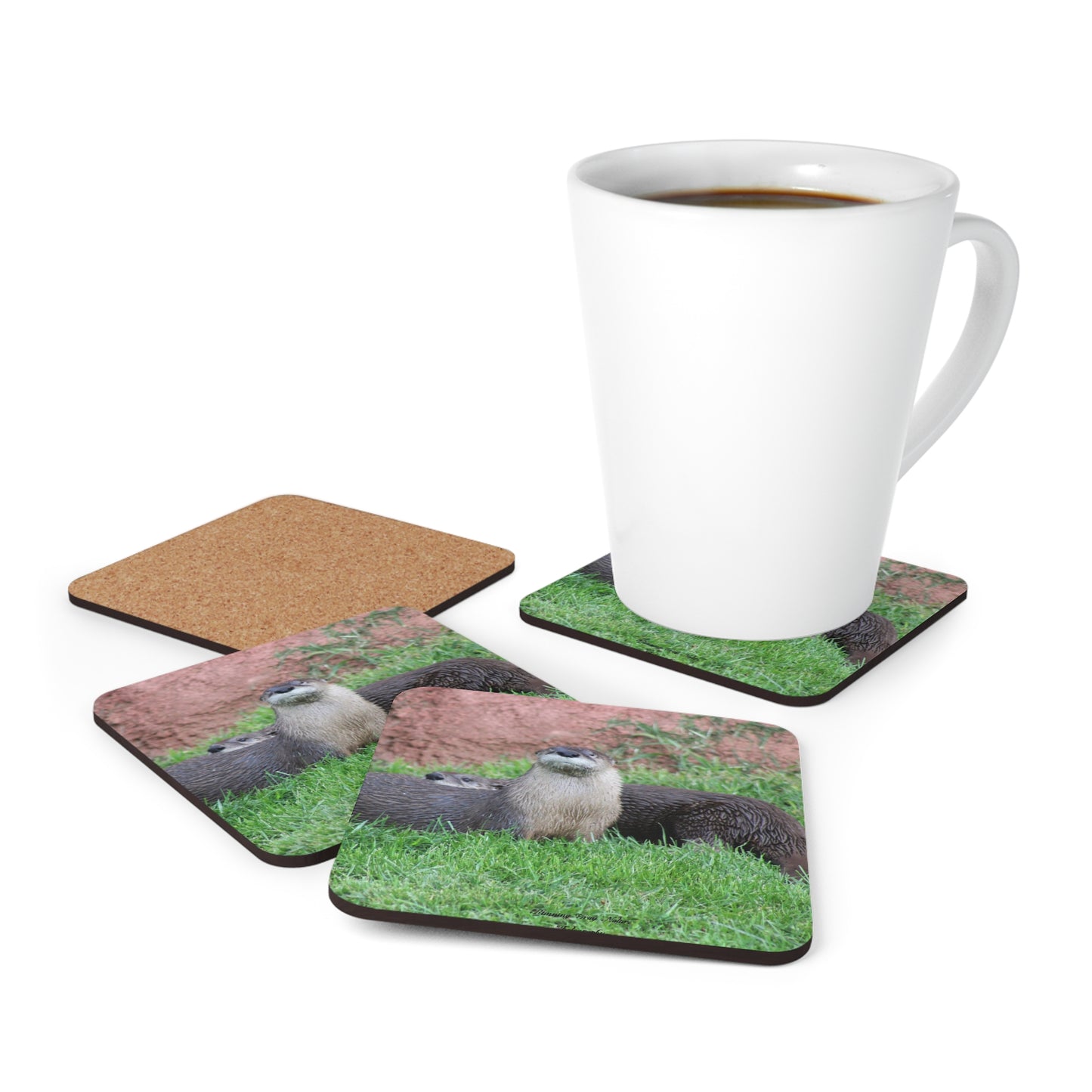 Otters Corkwood Coaster Set