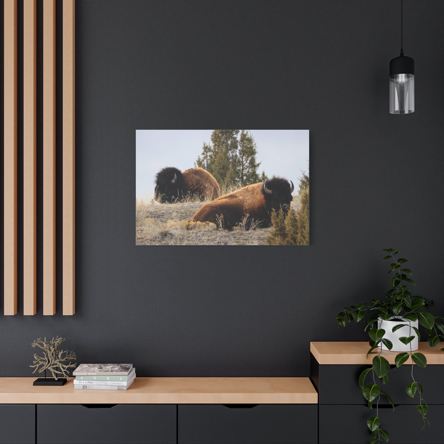 Two Bull Buffalo Canvas