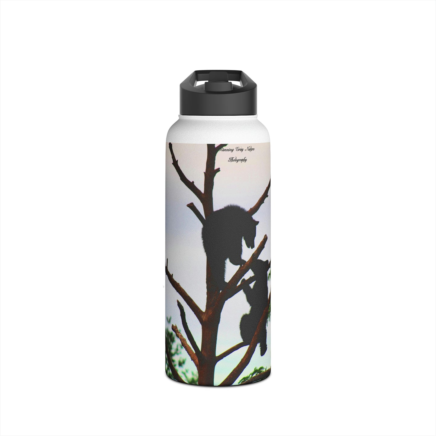 Cubs in a Tree Stainless Steel Water Bottle, Standard Lid