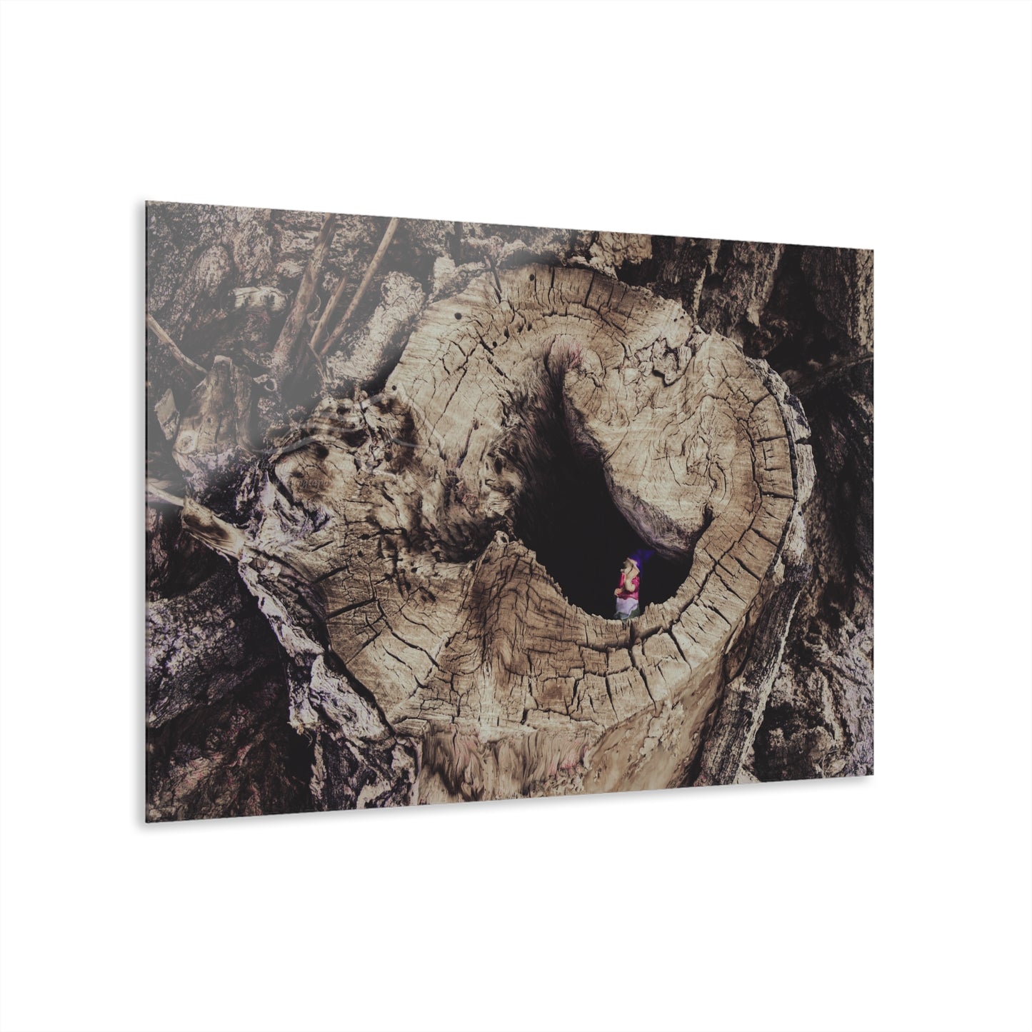 Fairy in a Tree Acrylic