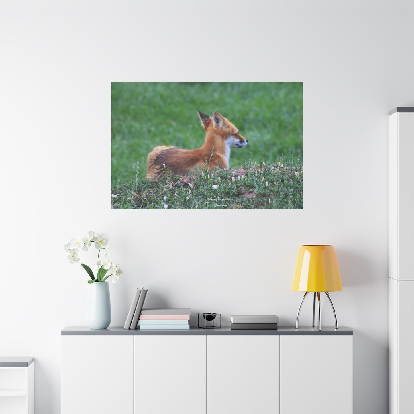 Red Tail Fox Matte Canvas, Stretched, 1.25"