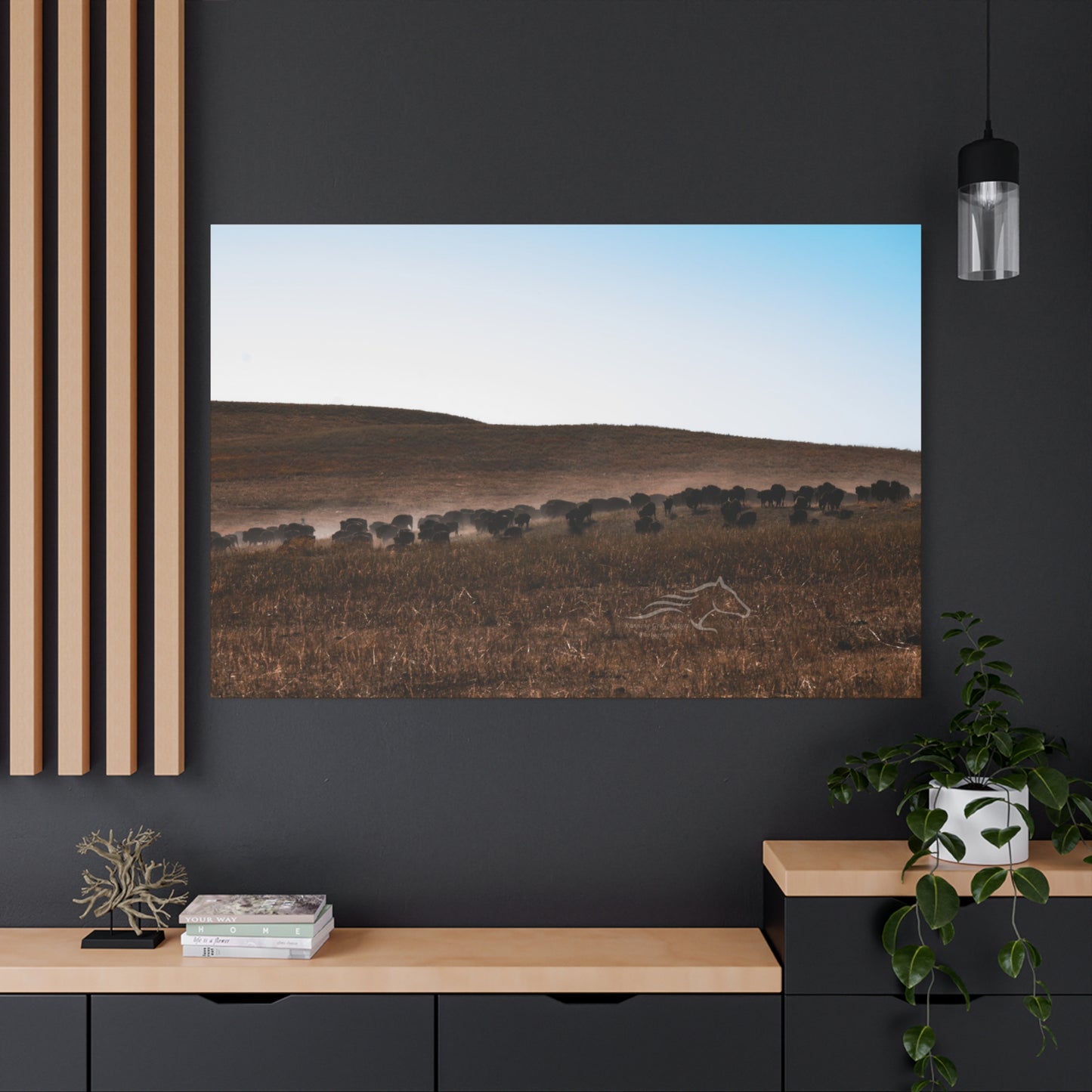 Buffalo Herd Canvas