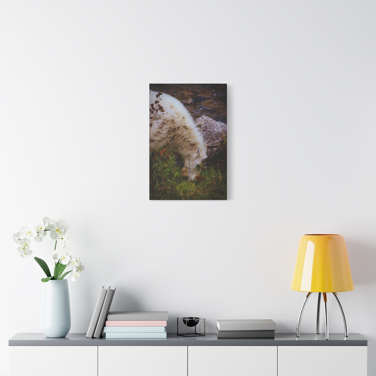 Mountain Goat Canvas