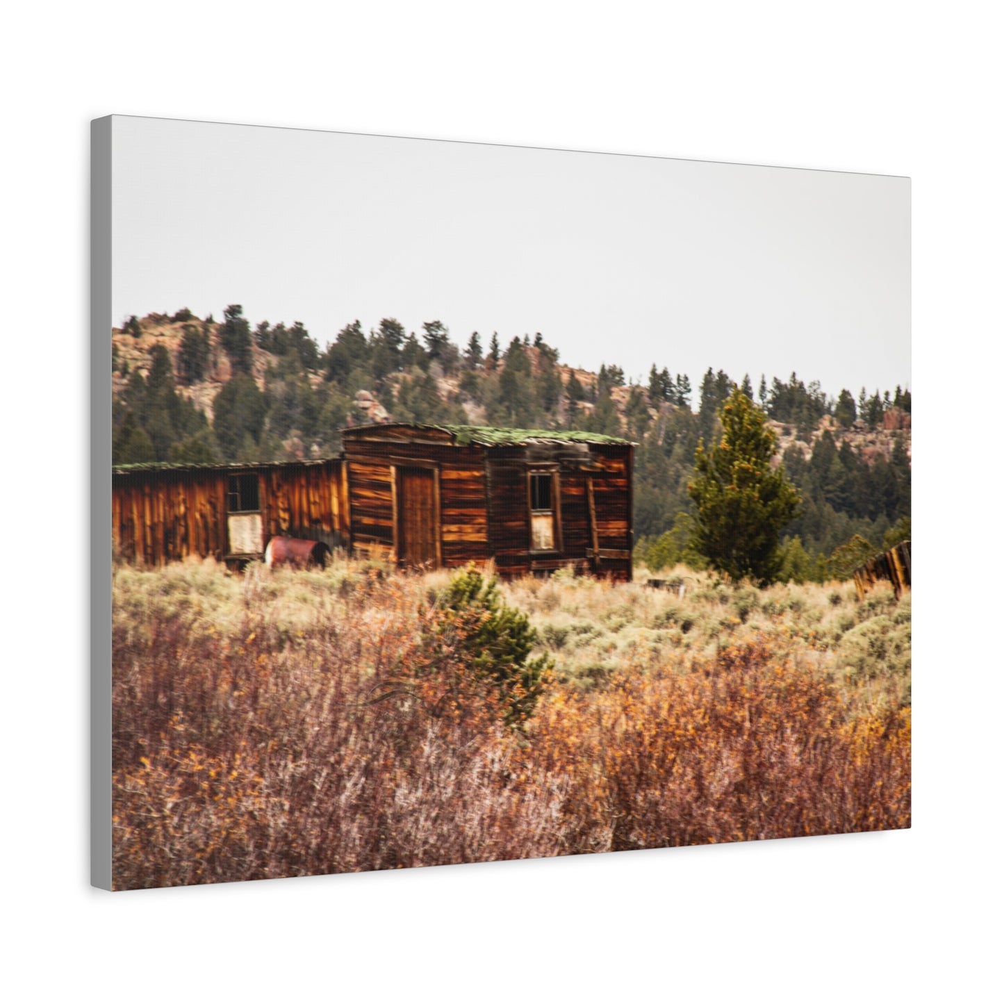 Rustic Landscape Canvas