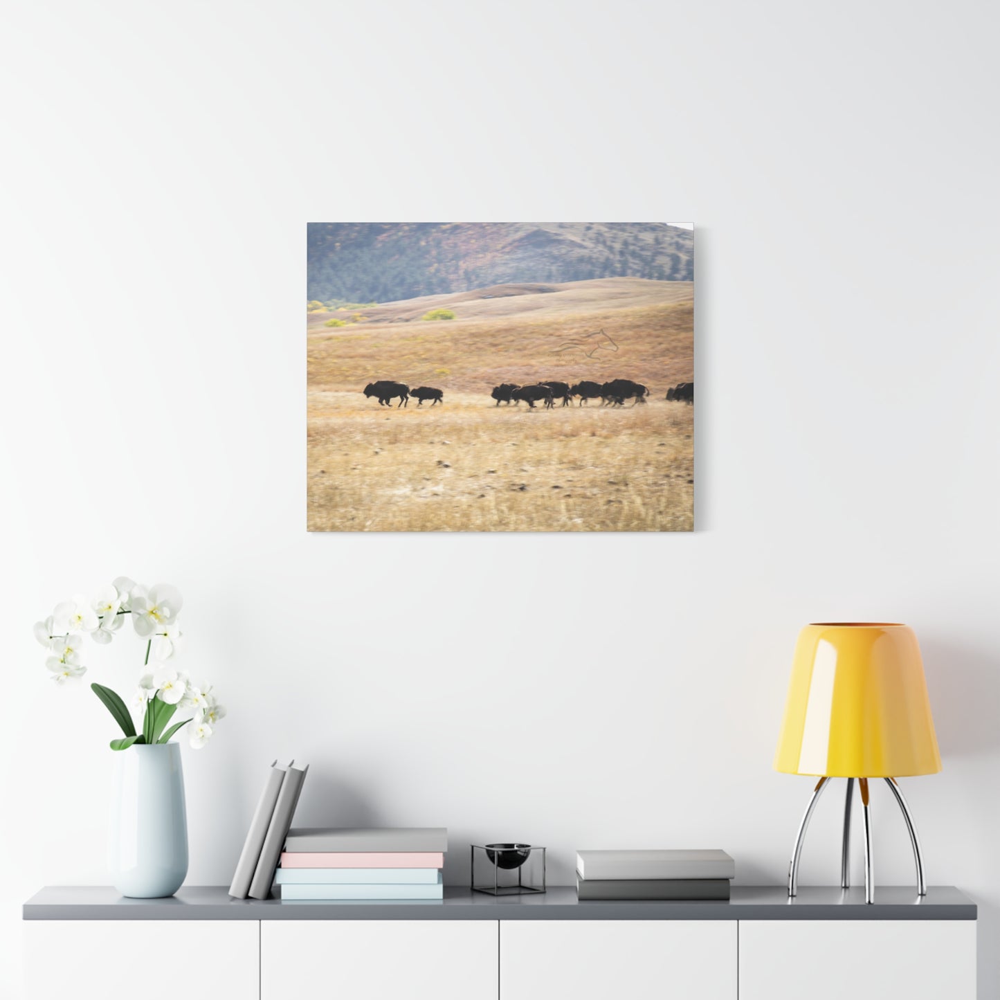 Beginning Buffalo Herd Canvas