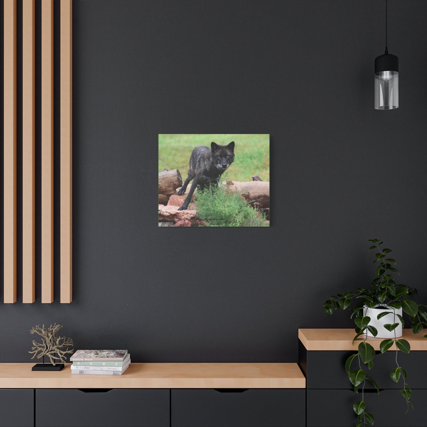 Black Wolf Matte Canvas, Stretched, 1.25"