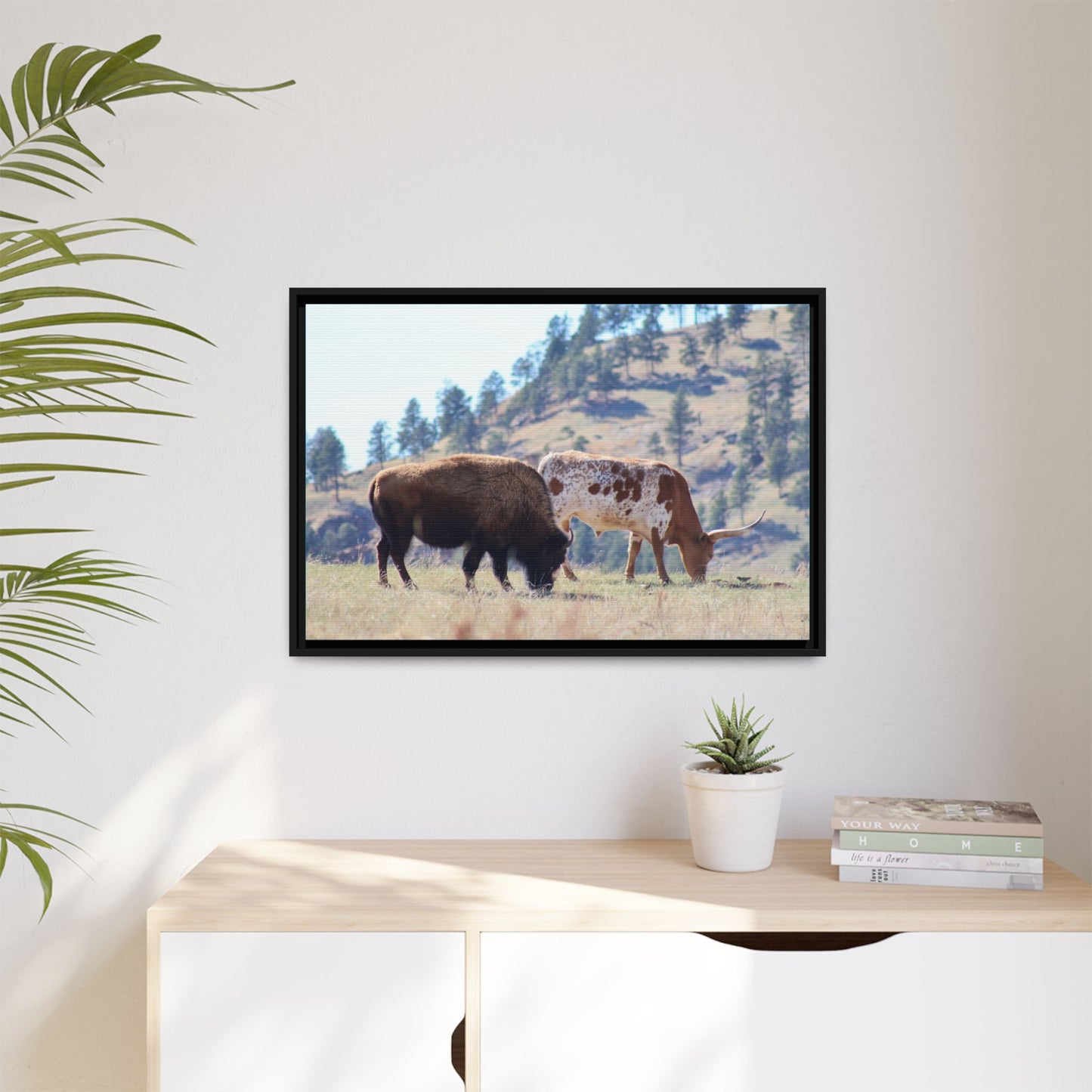 Long Horn and Buffalo Framed Canvas