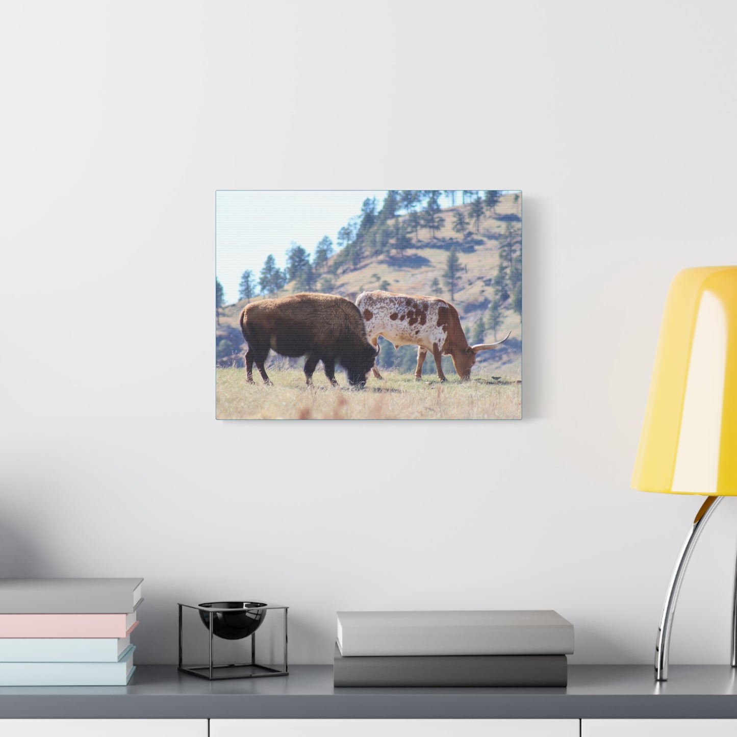 Long Horn and Buffalo Canvas