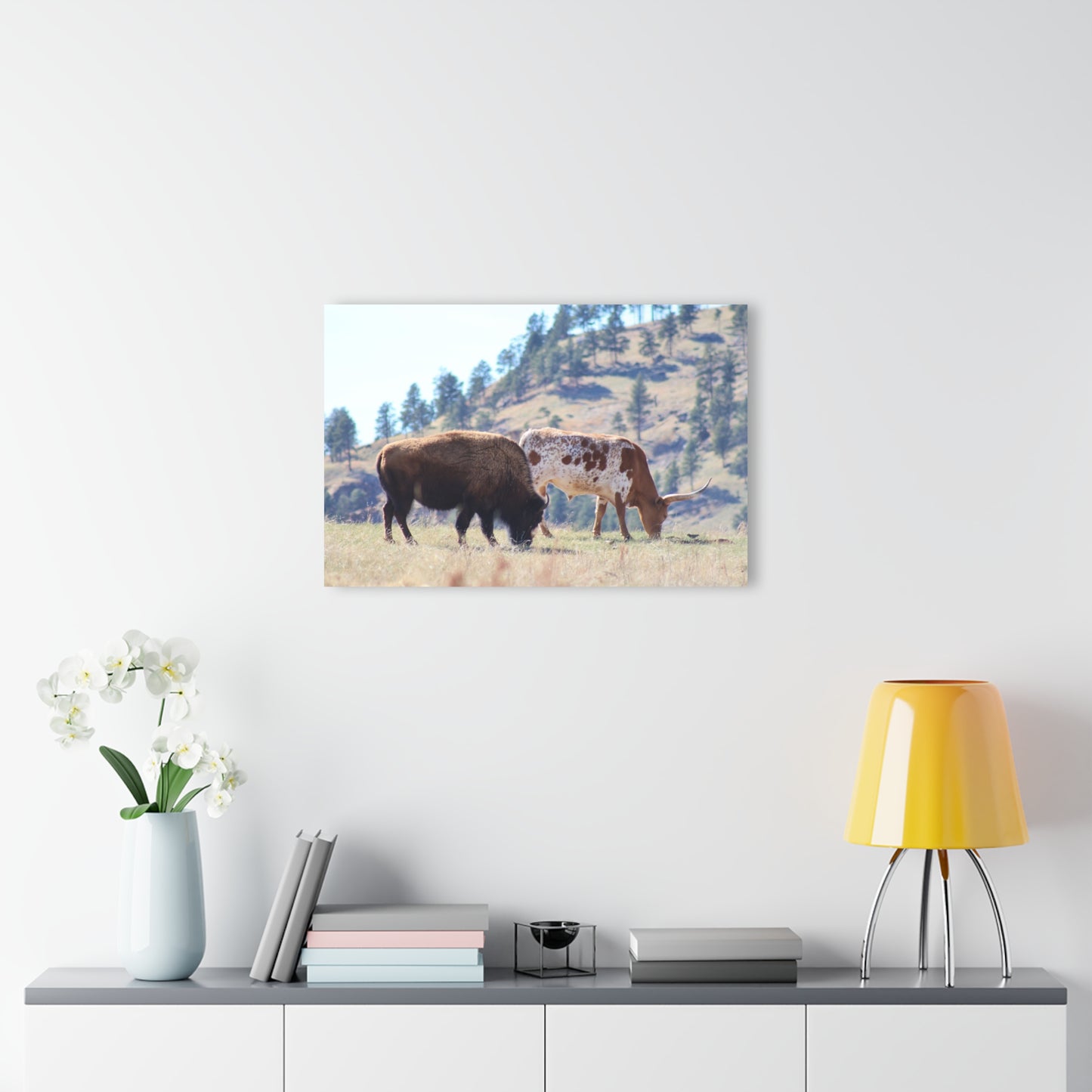 Long Horn and Buffalo Acrylic