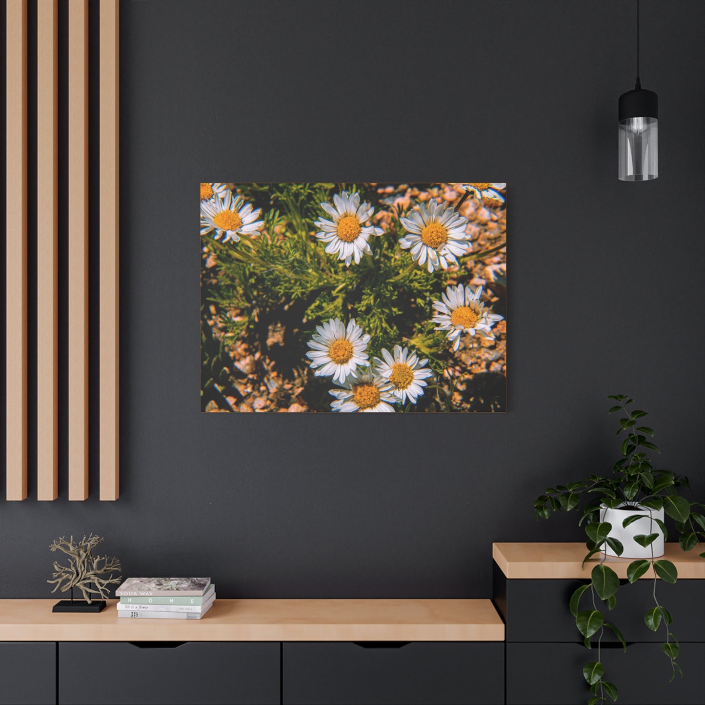 Wild Daisy Canvas