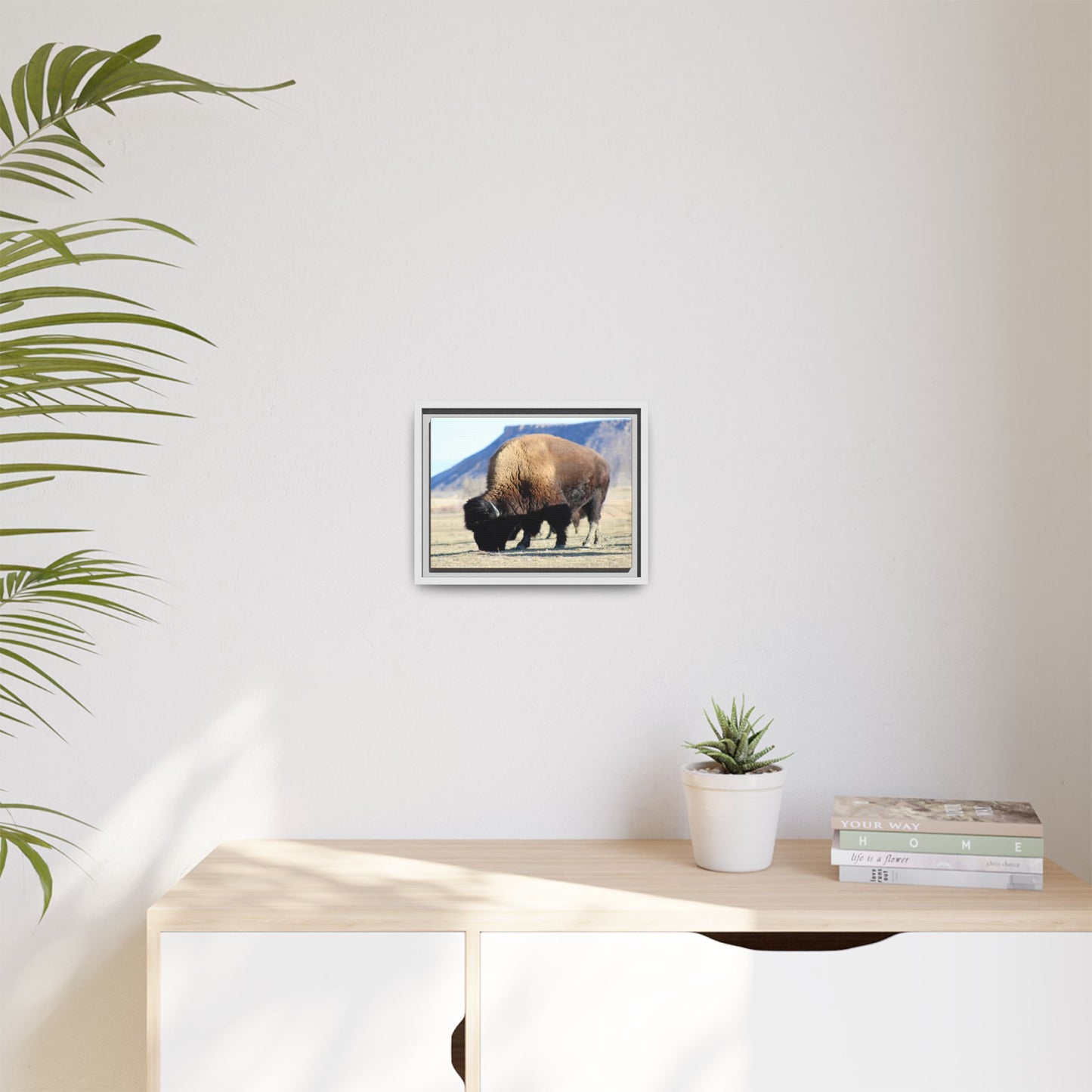 Big Daddy Buffalo Framed Canvas