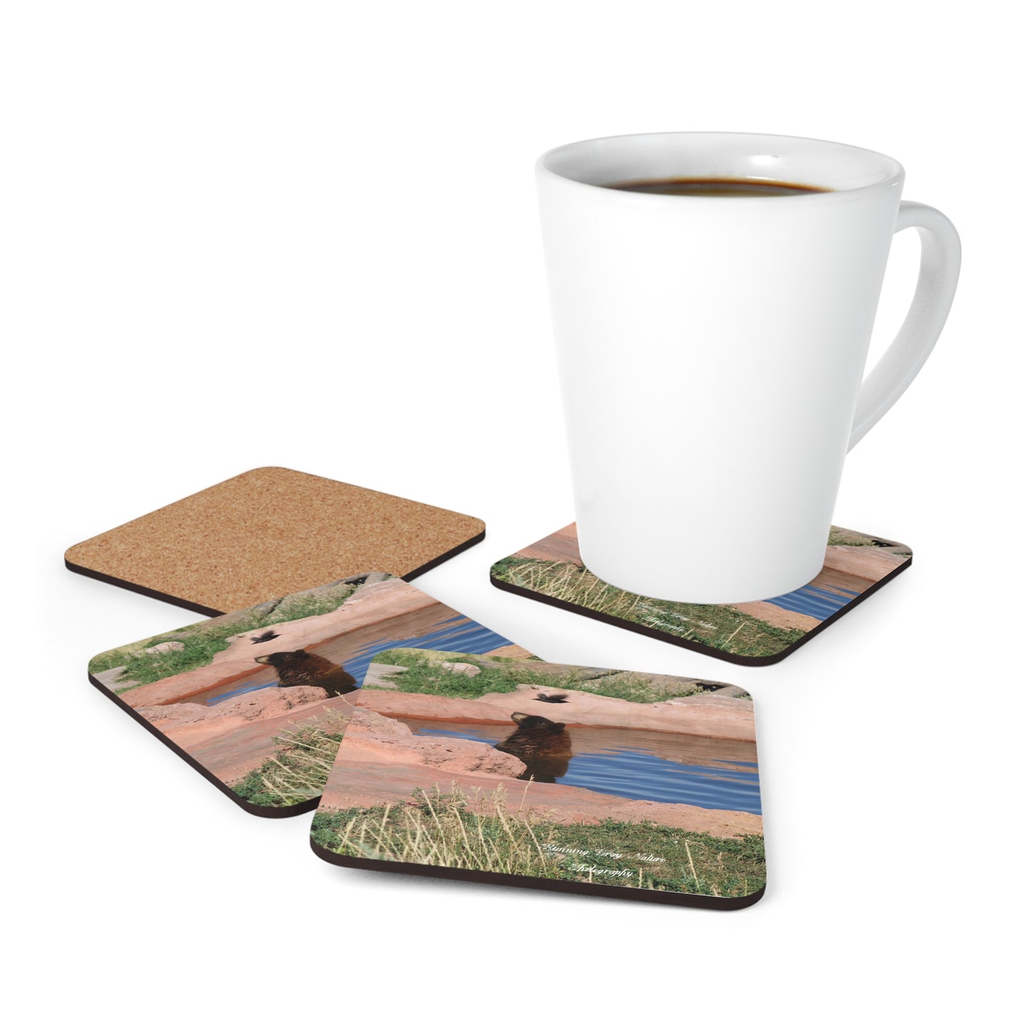 Bird Watching Coaster