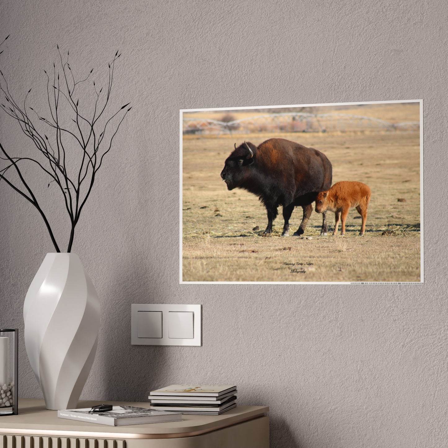 Posters Board Momma and Baby Buffalo