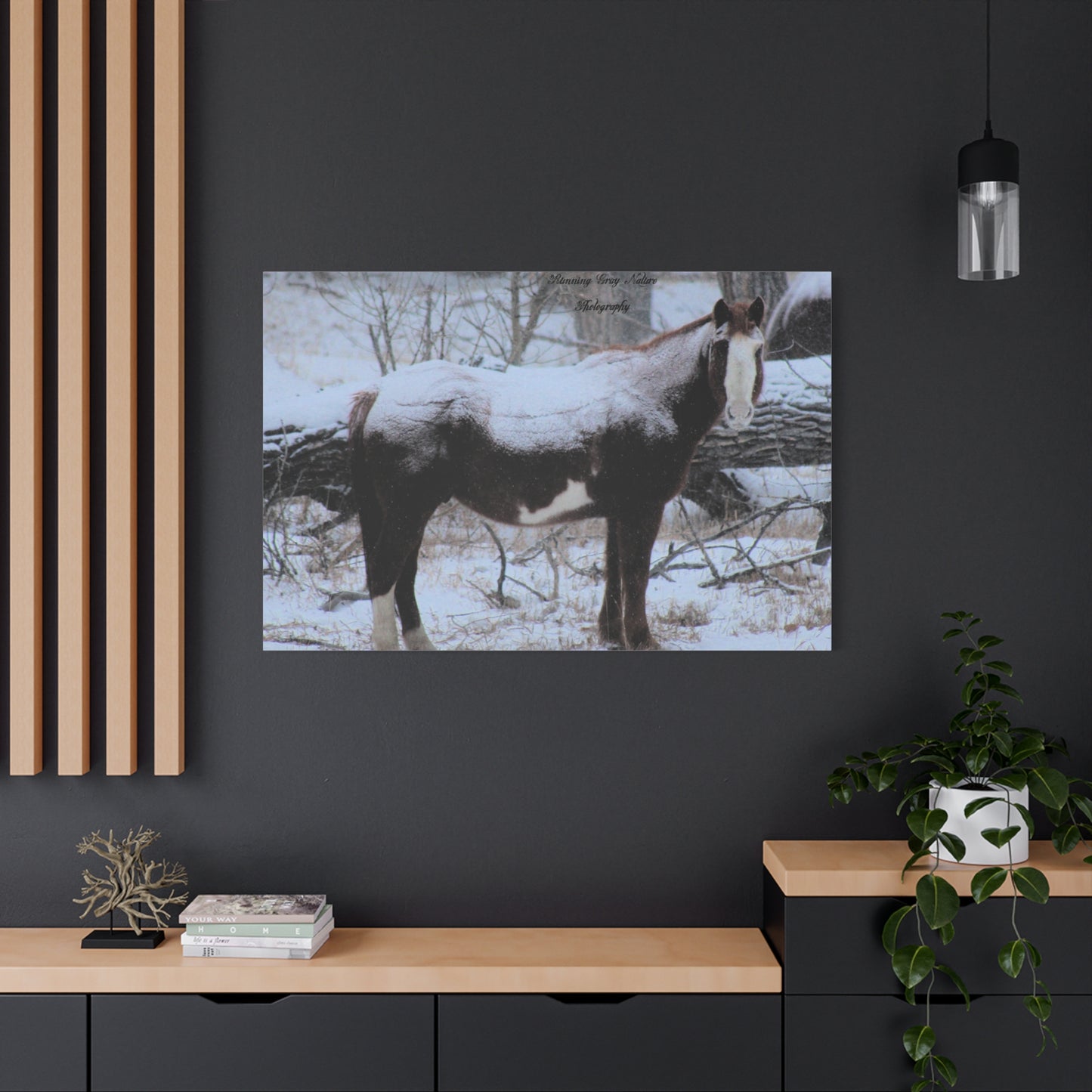 Snow Blanket Horse Matte Canvas, Stretched, 1.25"