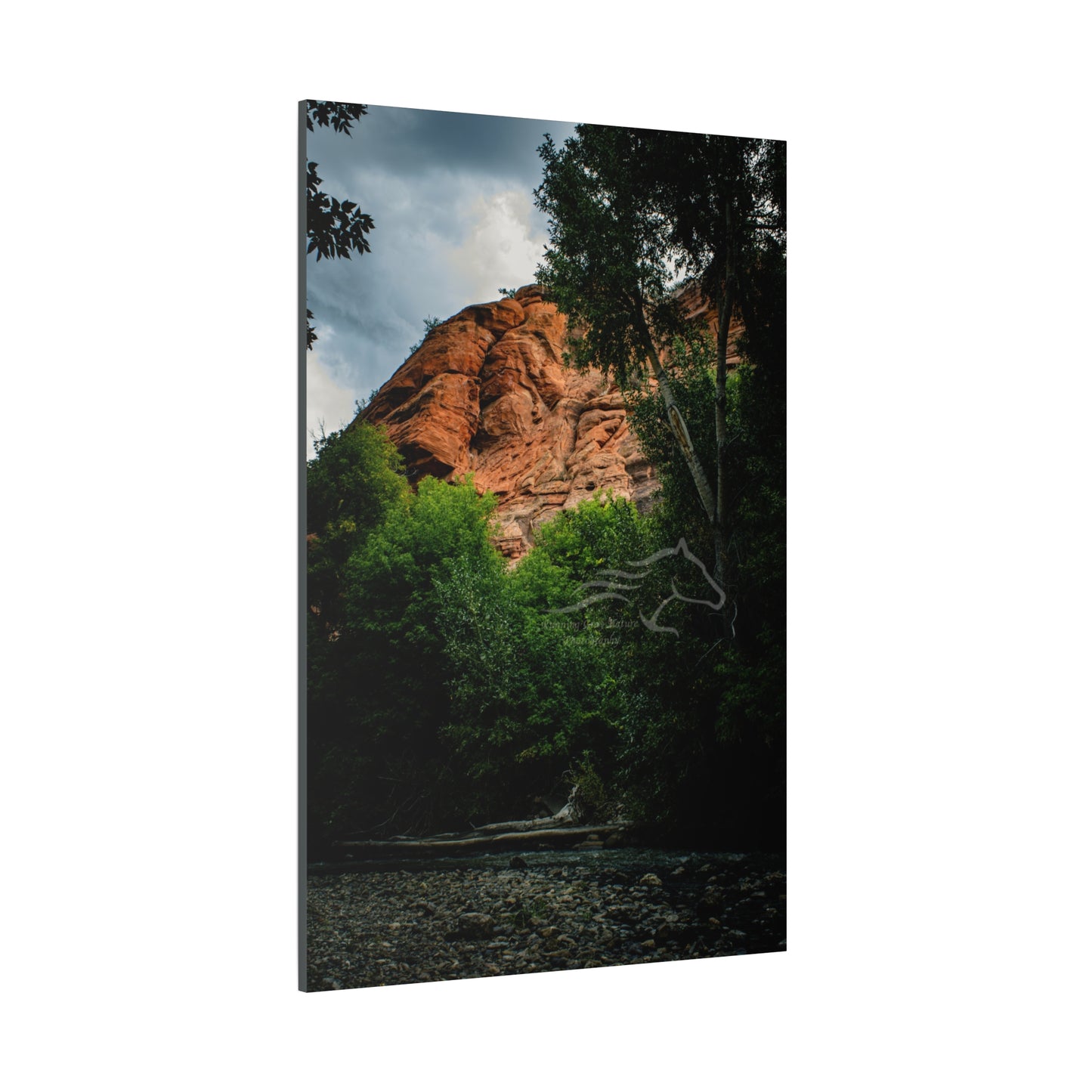 Red Rock Near Ayres Natural Bridge Canvas