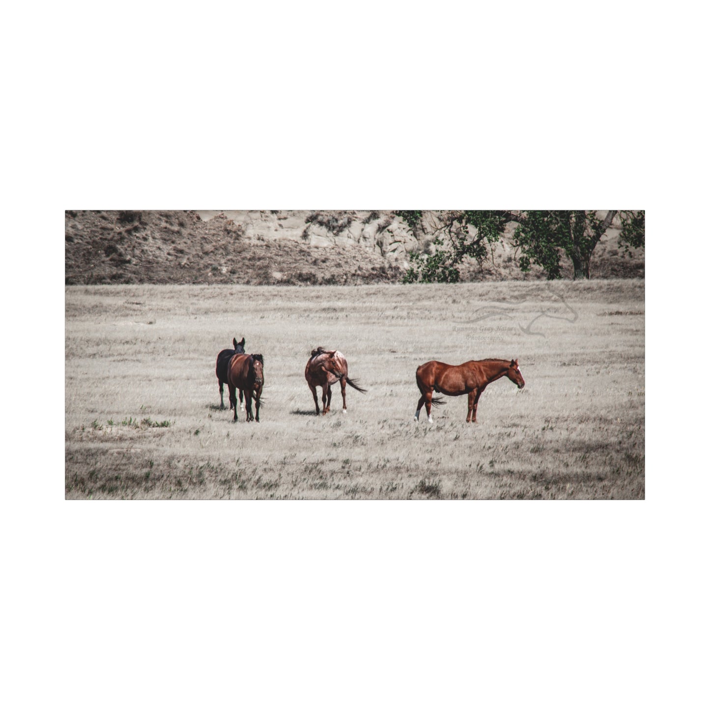 Not everything is Black and White