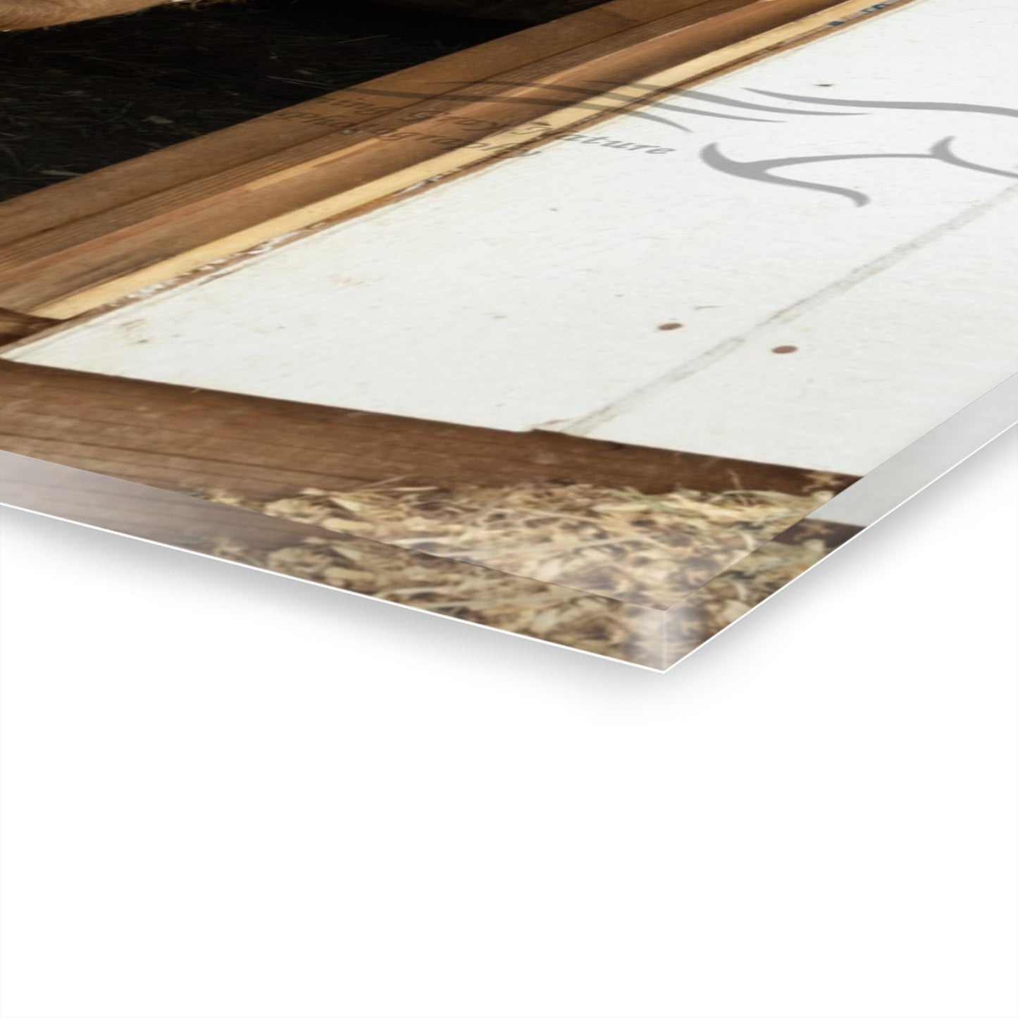 Little Highlander Acrylic