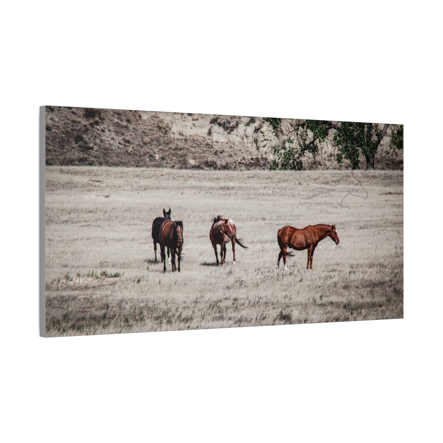 Not everything is Black and White