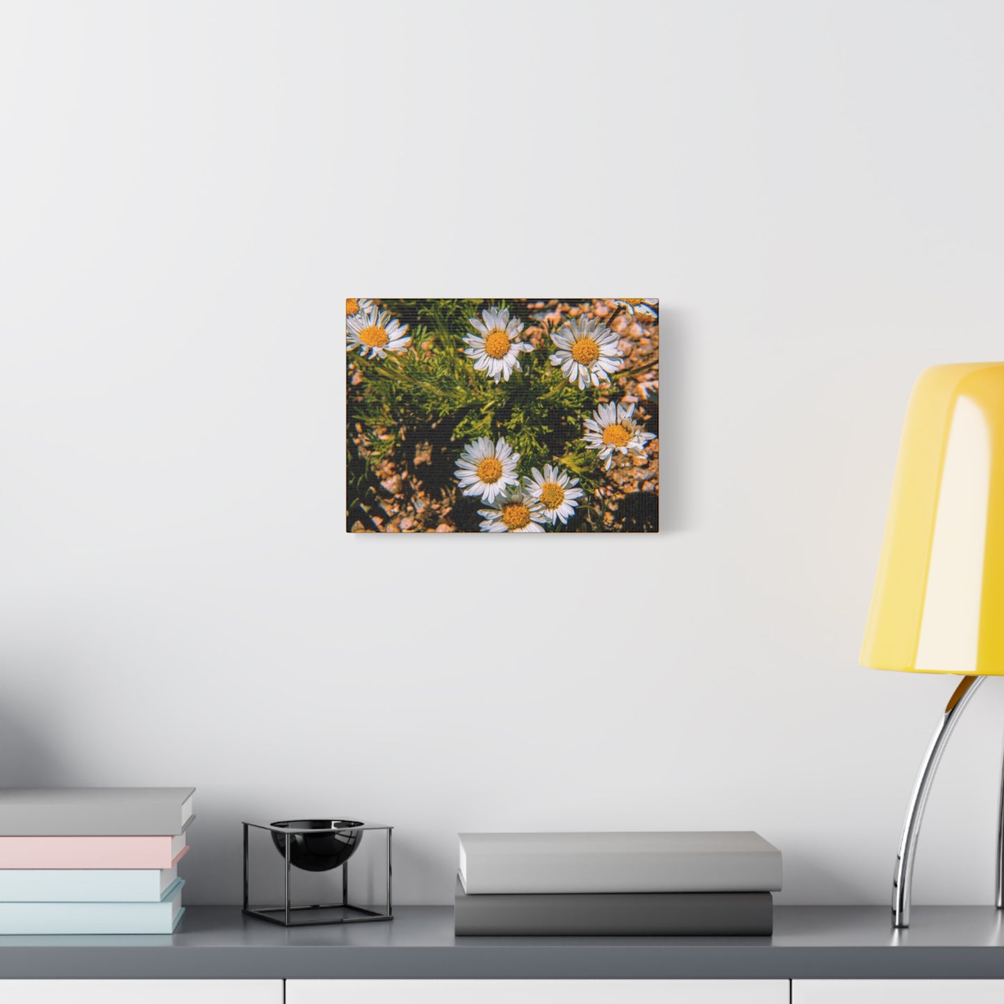 Wild Daisy Canvas