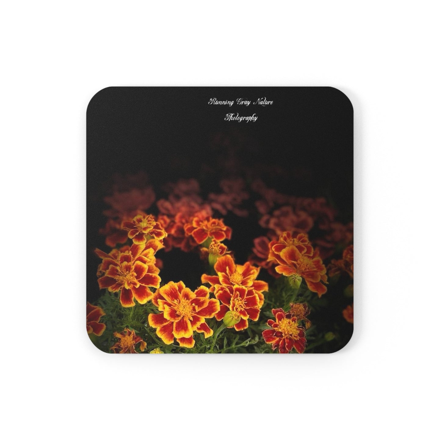 French Marigold Coaster