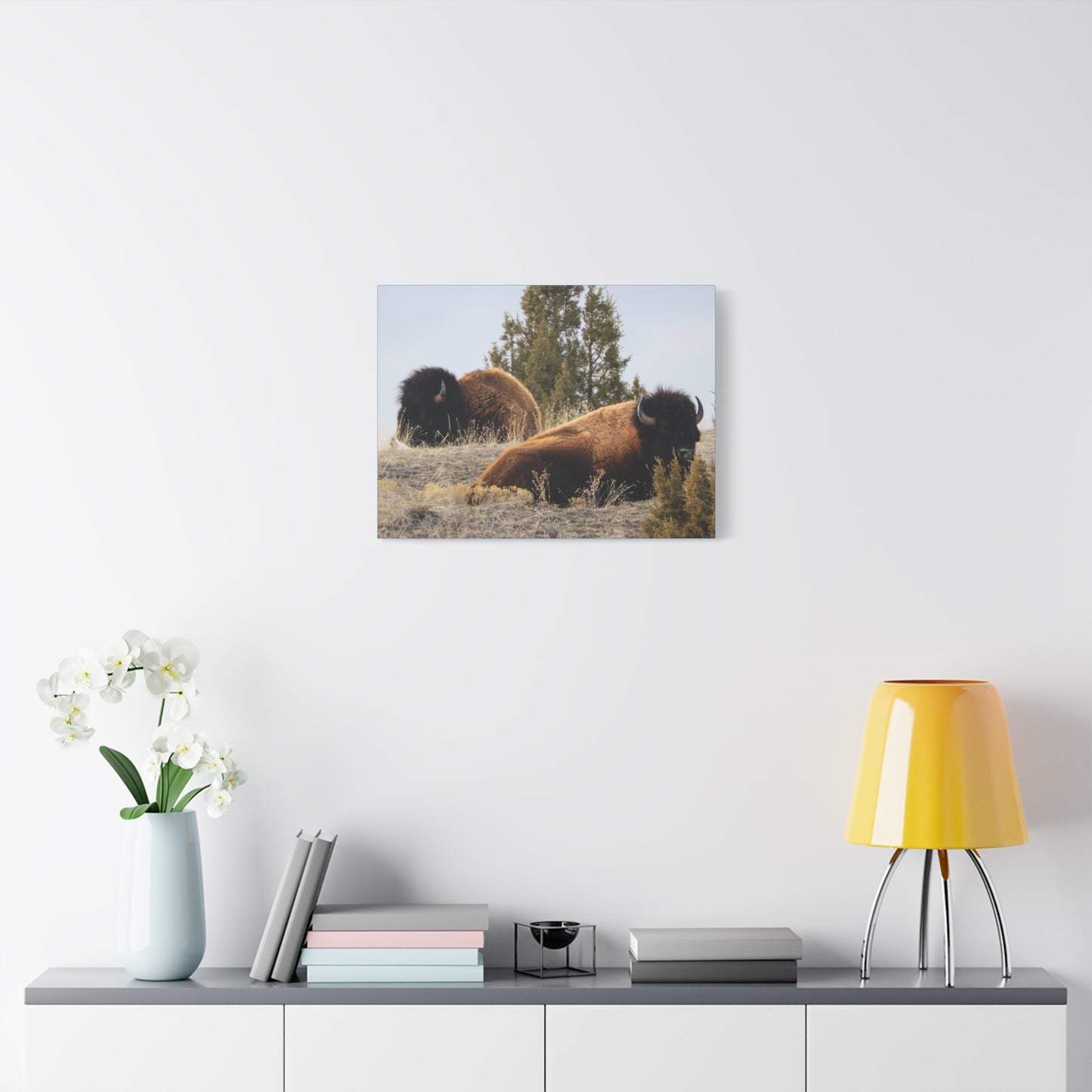 Two Bull Buffalo Canvas