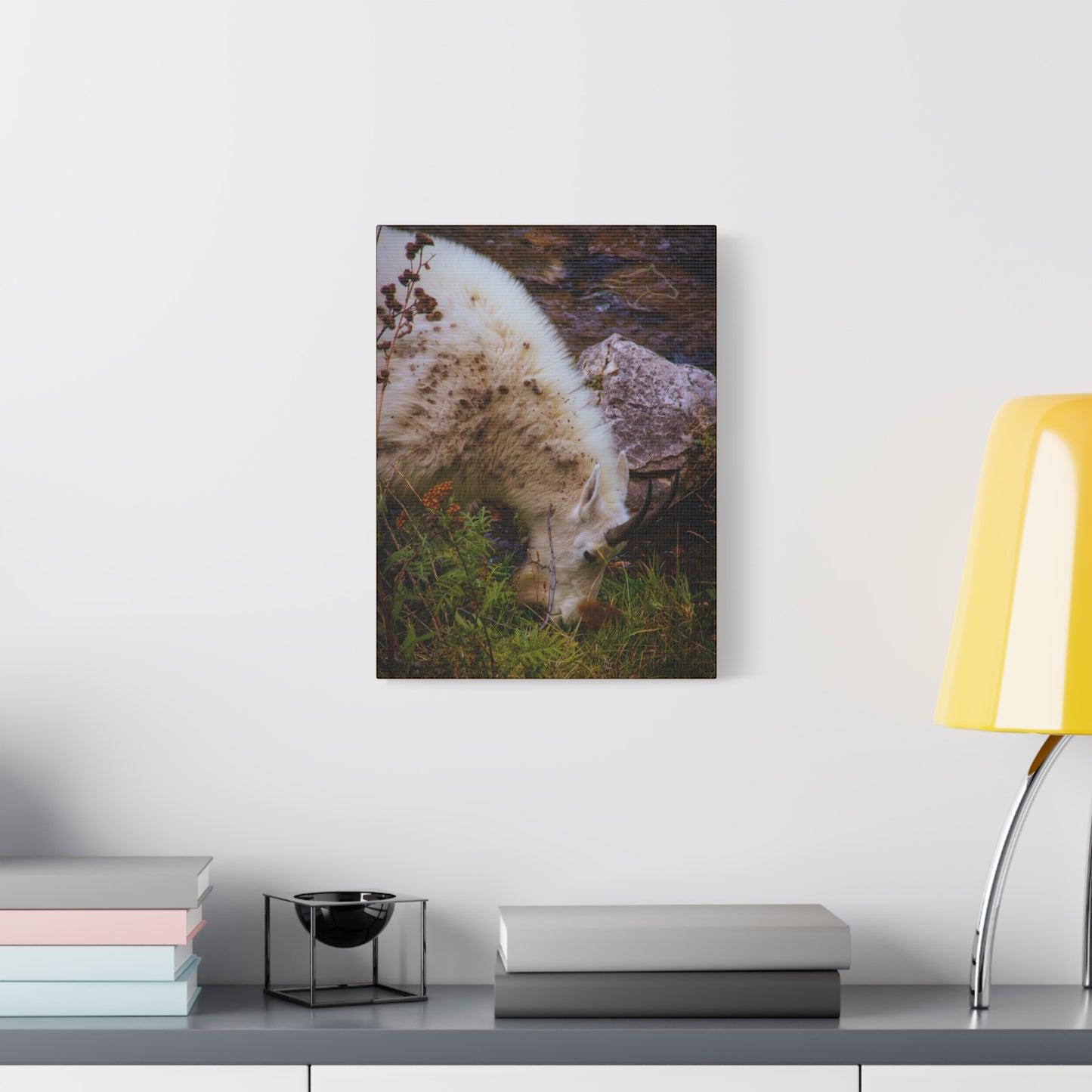 Mountain Goat Canvas