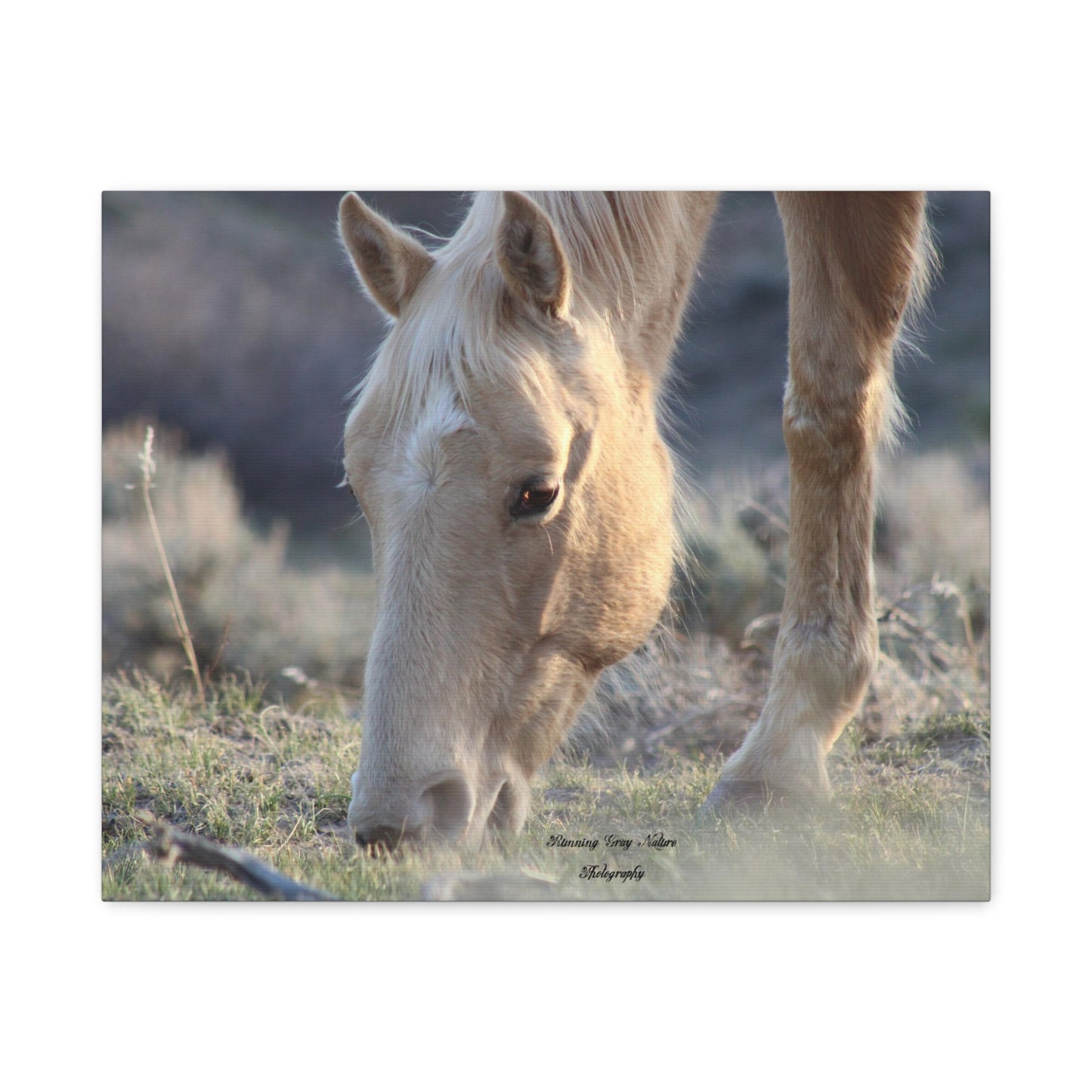 Beautiful Blonde Matte Canvas, Stretched, 1.25"