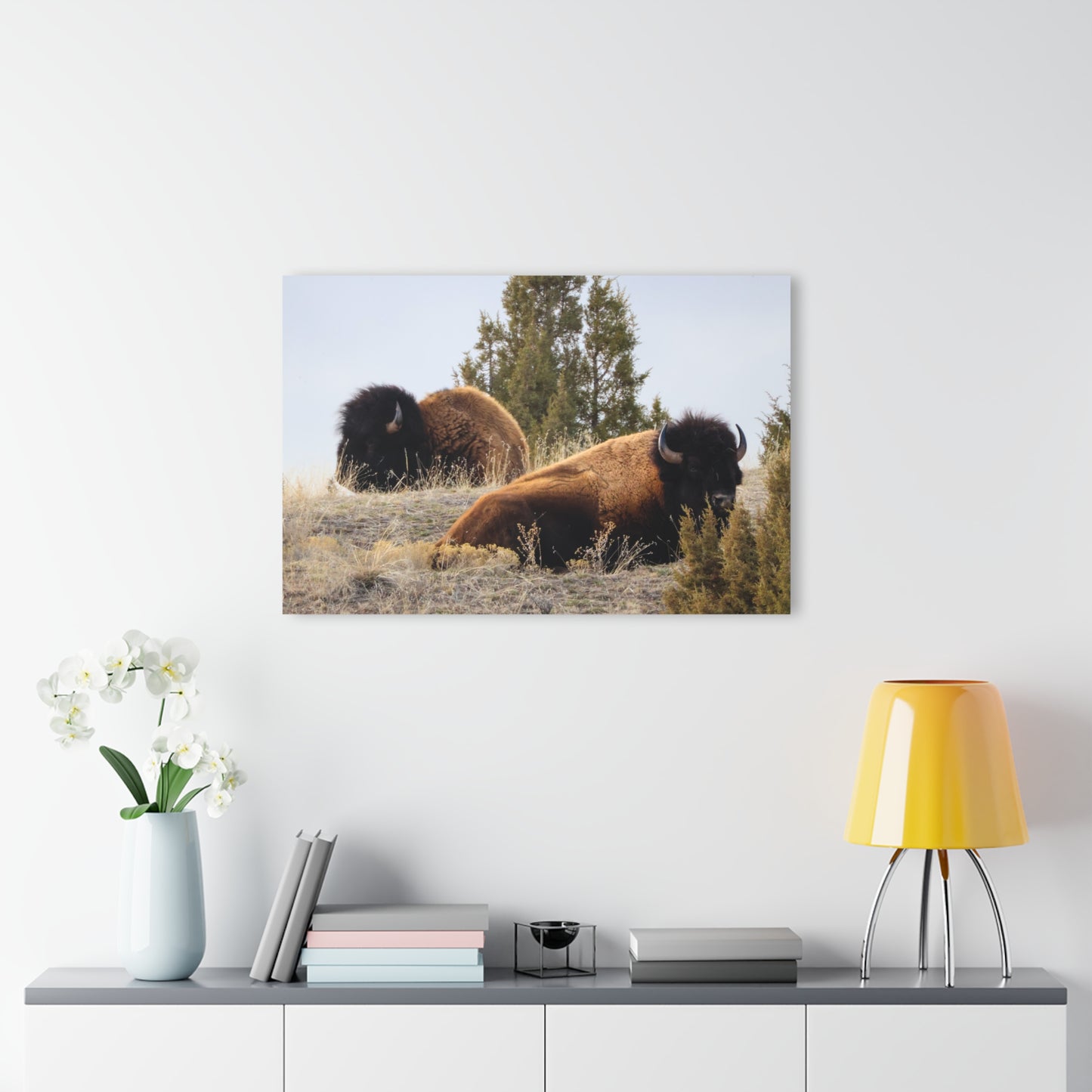 Two Bull Buffalo Acrylic