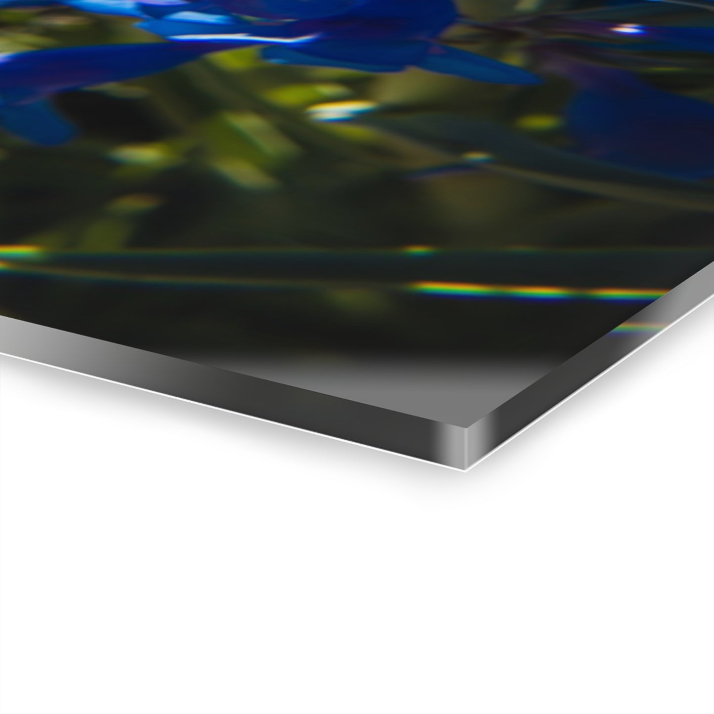 Rocky Mountain Beardtongue Acrylic