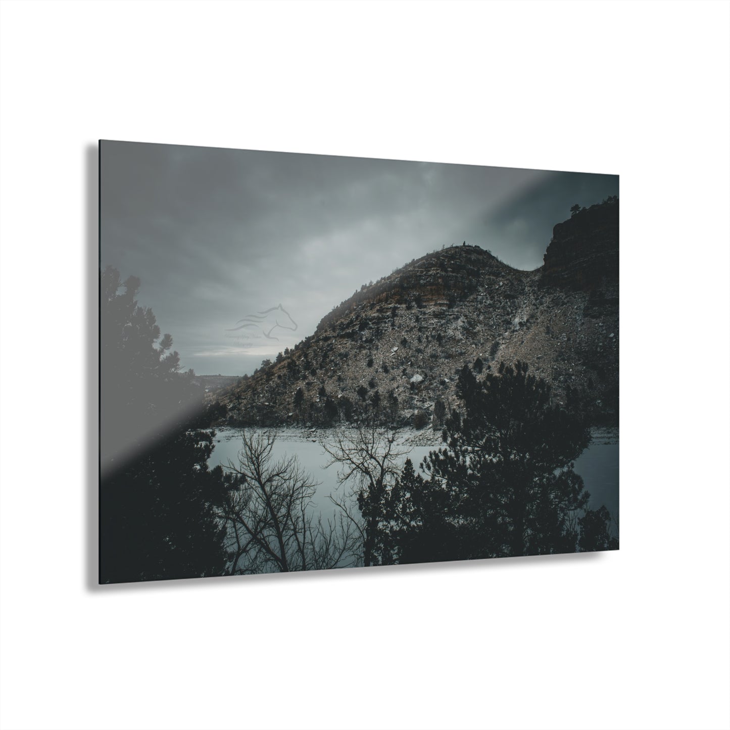 Moody Landscape Acrylic