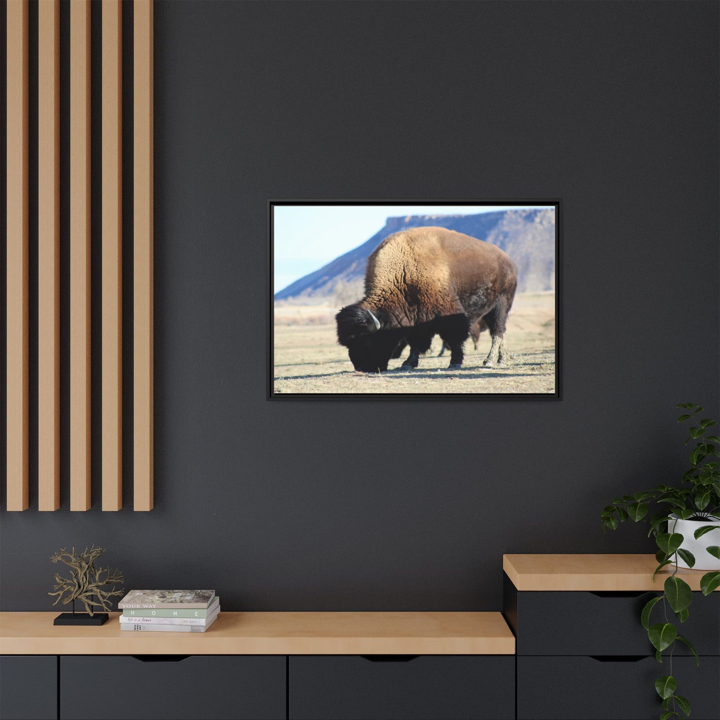 Big Daddy Buffalo Framed Canvas