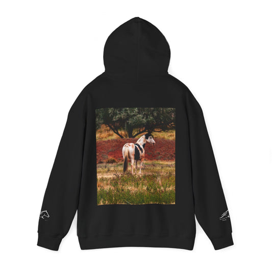 Painted Horse Hoodie