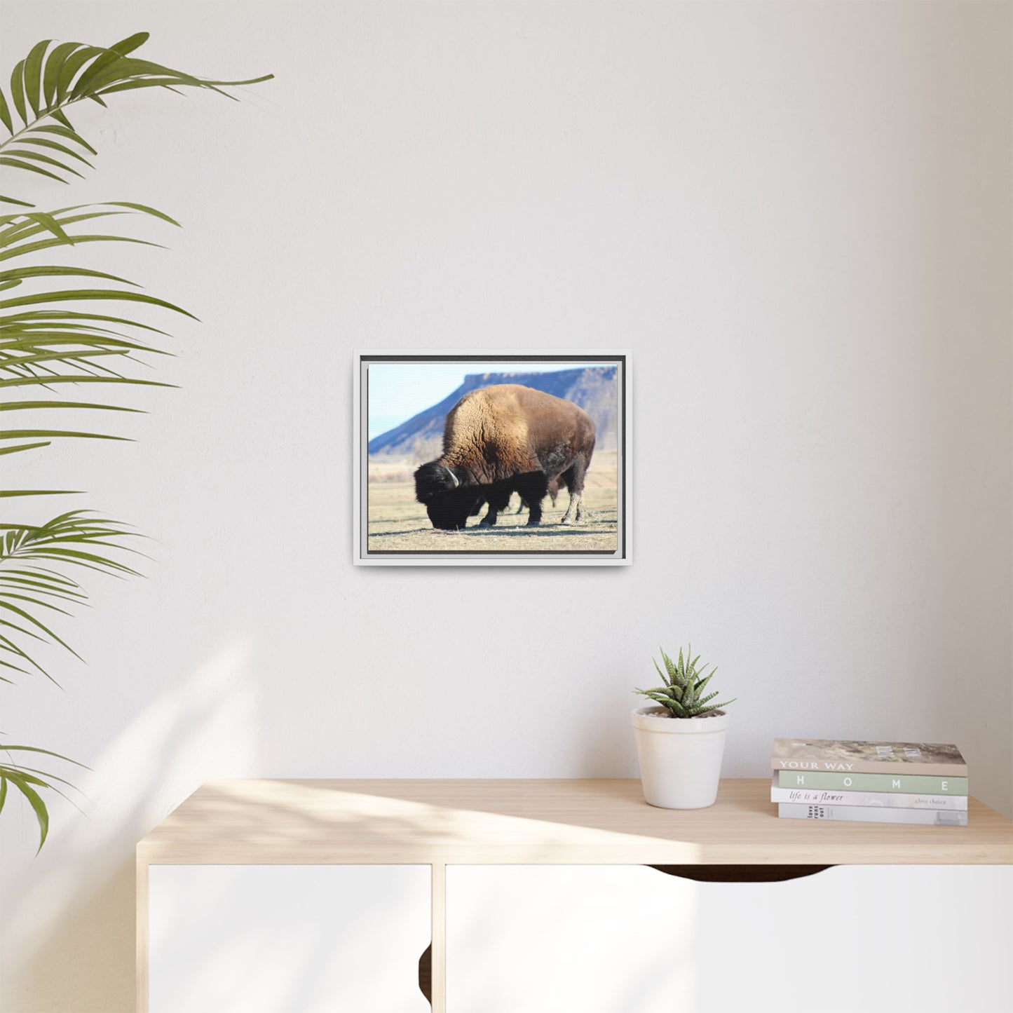Big Daddy Buffalo Framed Canvas