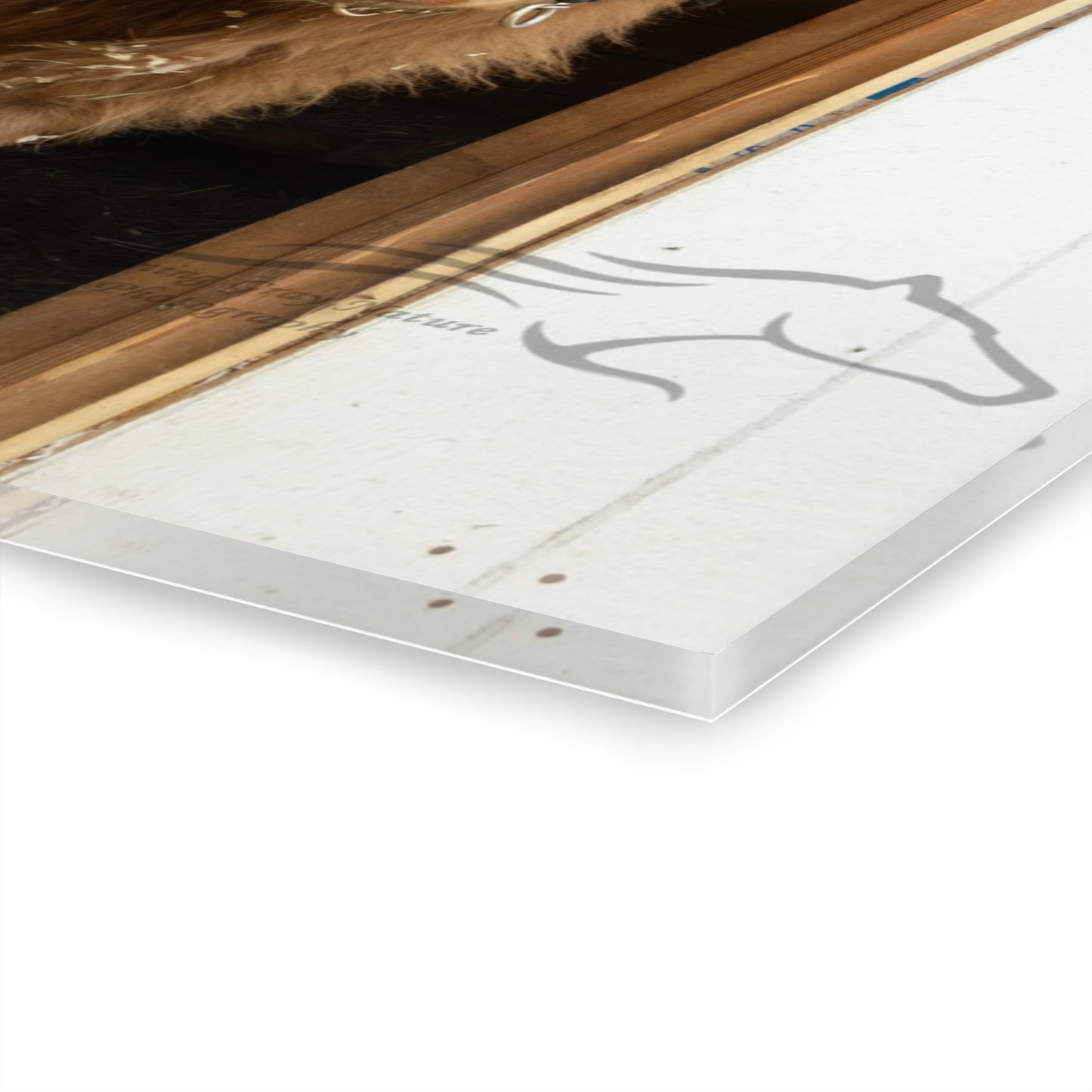 Little Highlander Acrylic