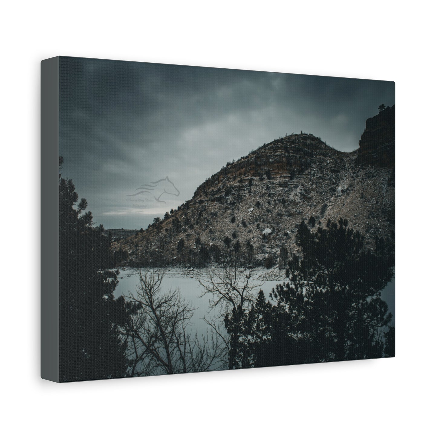 Moody Landscape Canvas