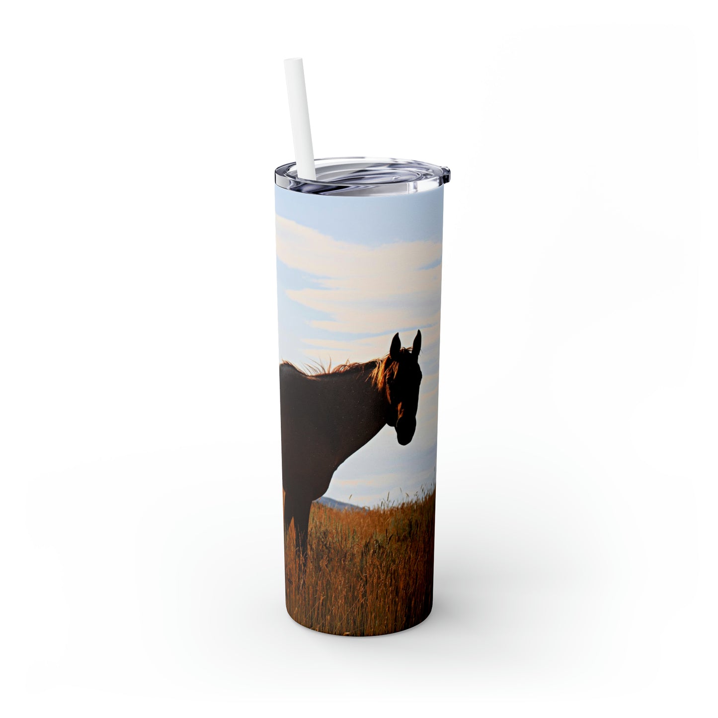 Fly Flicker Skinny Tumbler with Straw, 20oz