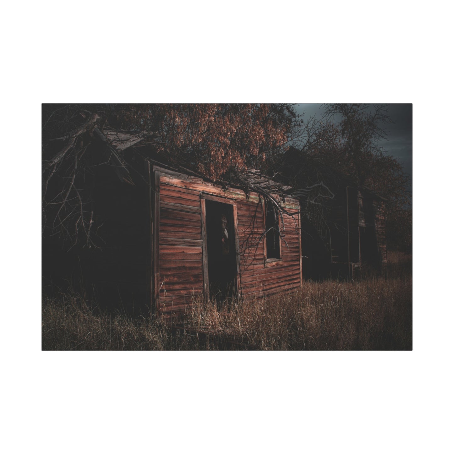 Haunting Rustic Canvas