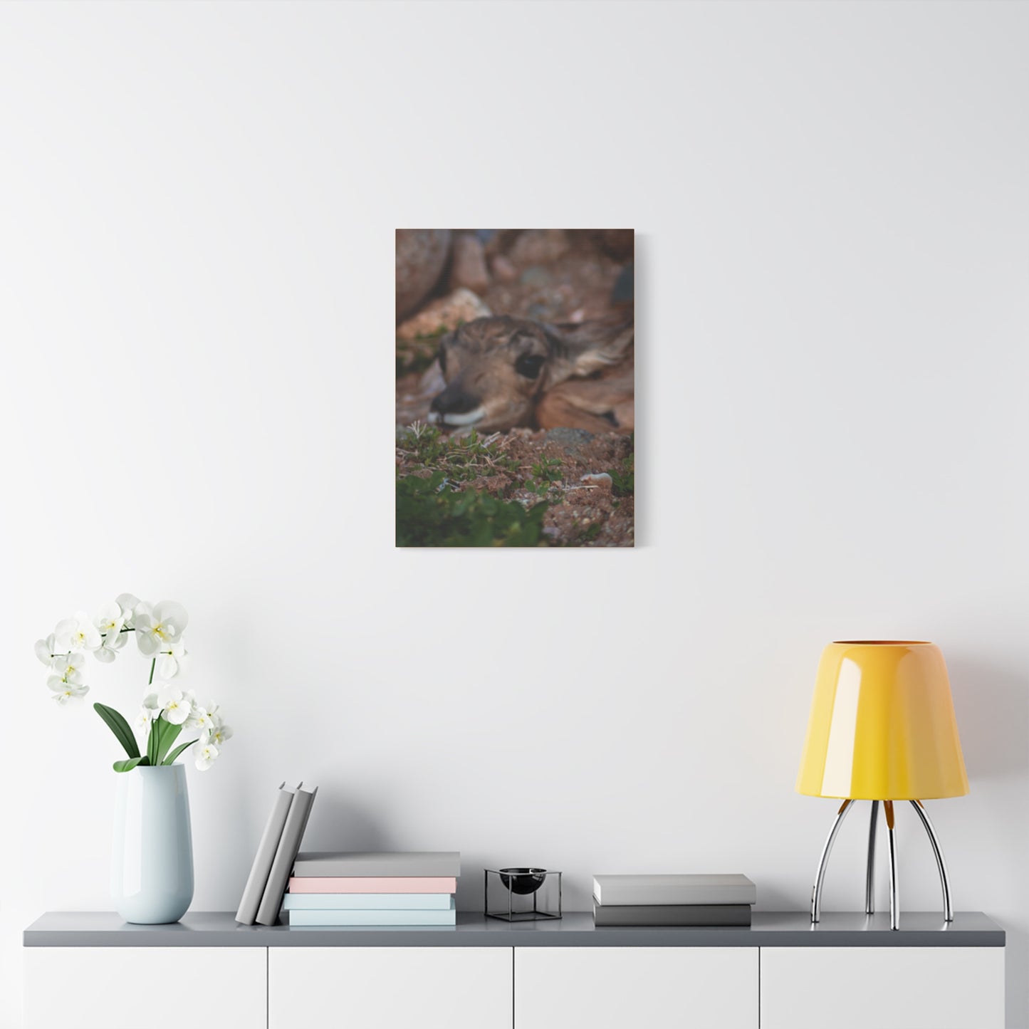 Gentle Antelope Fawn Canvas