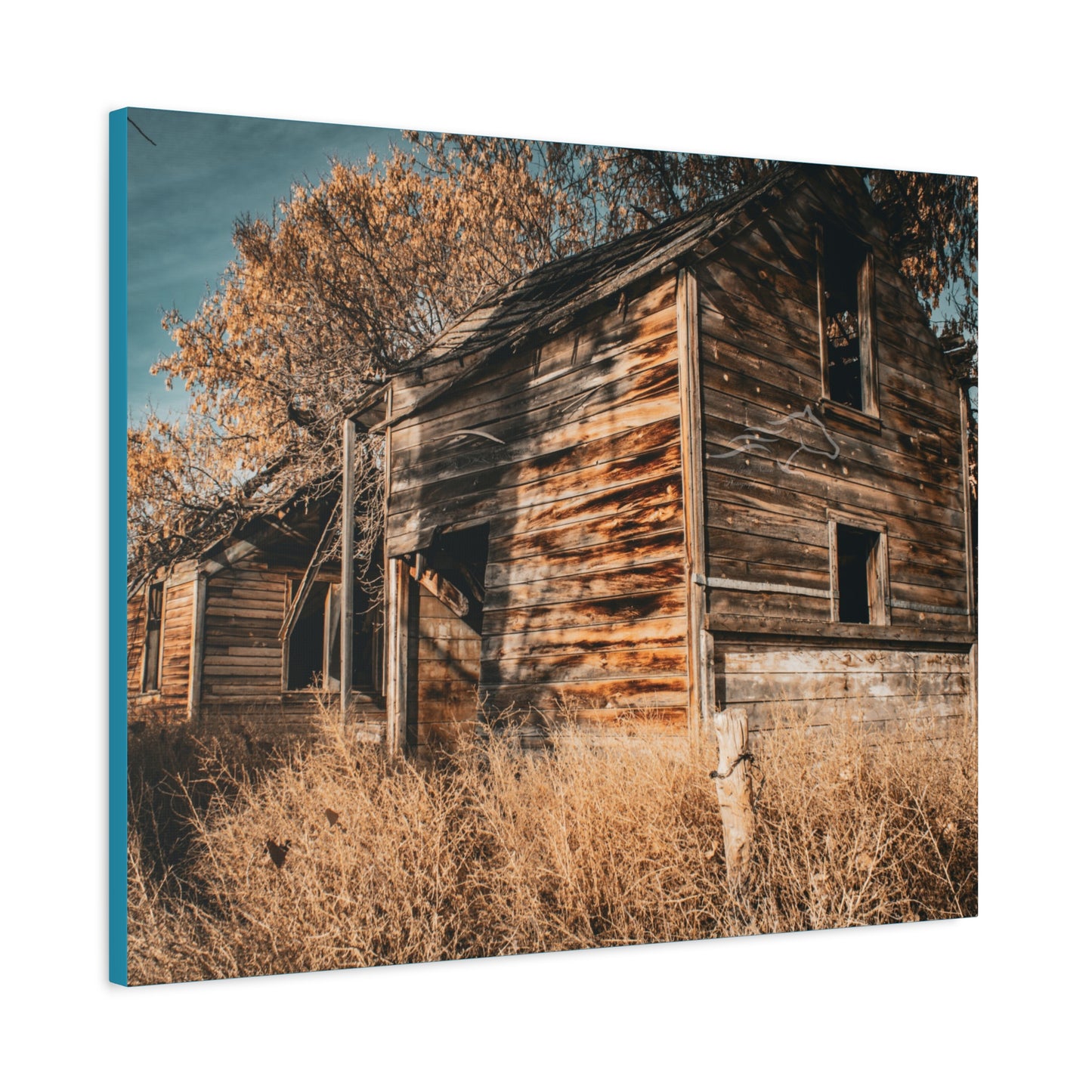 Vintage Cottage Canvas
