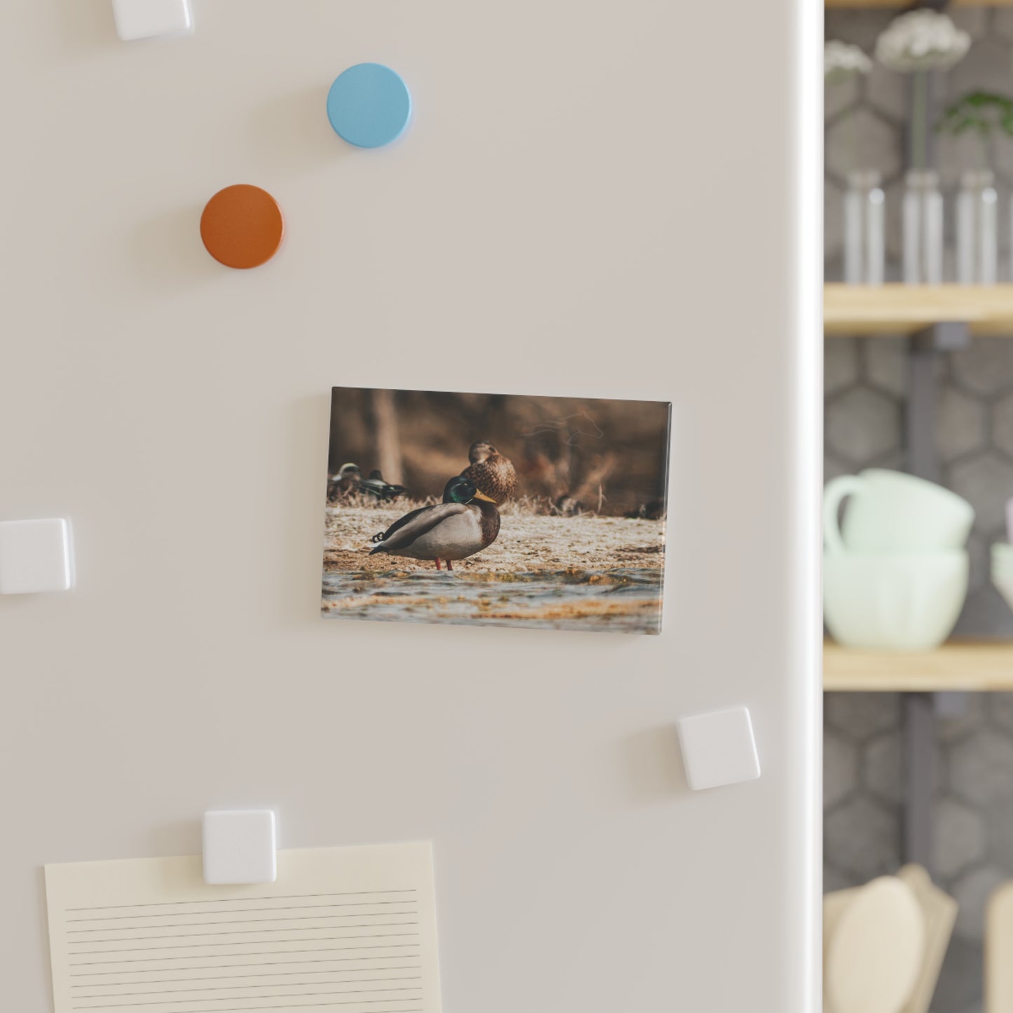 Nature-Inspired Duck Magnet