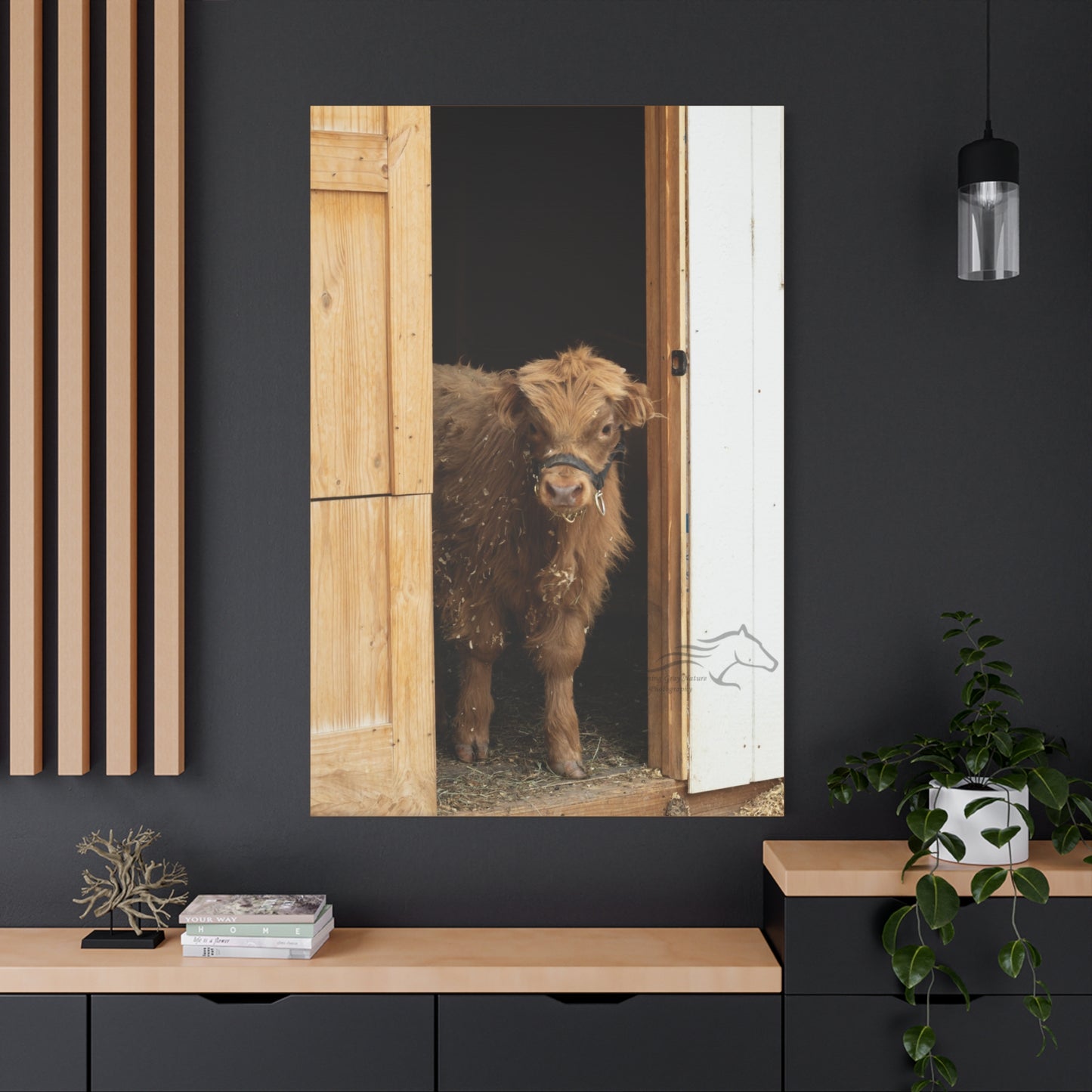 Little Highlander Canvas