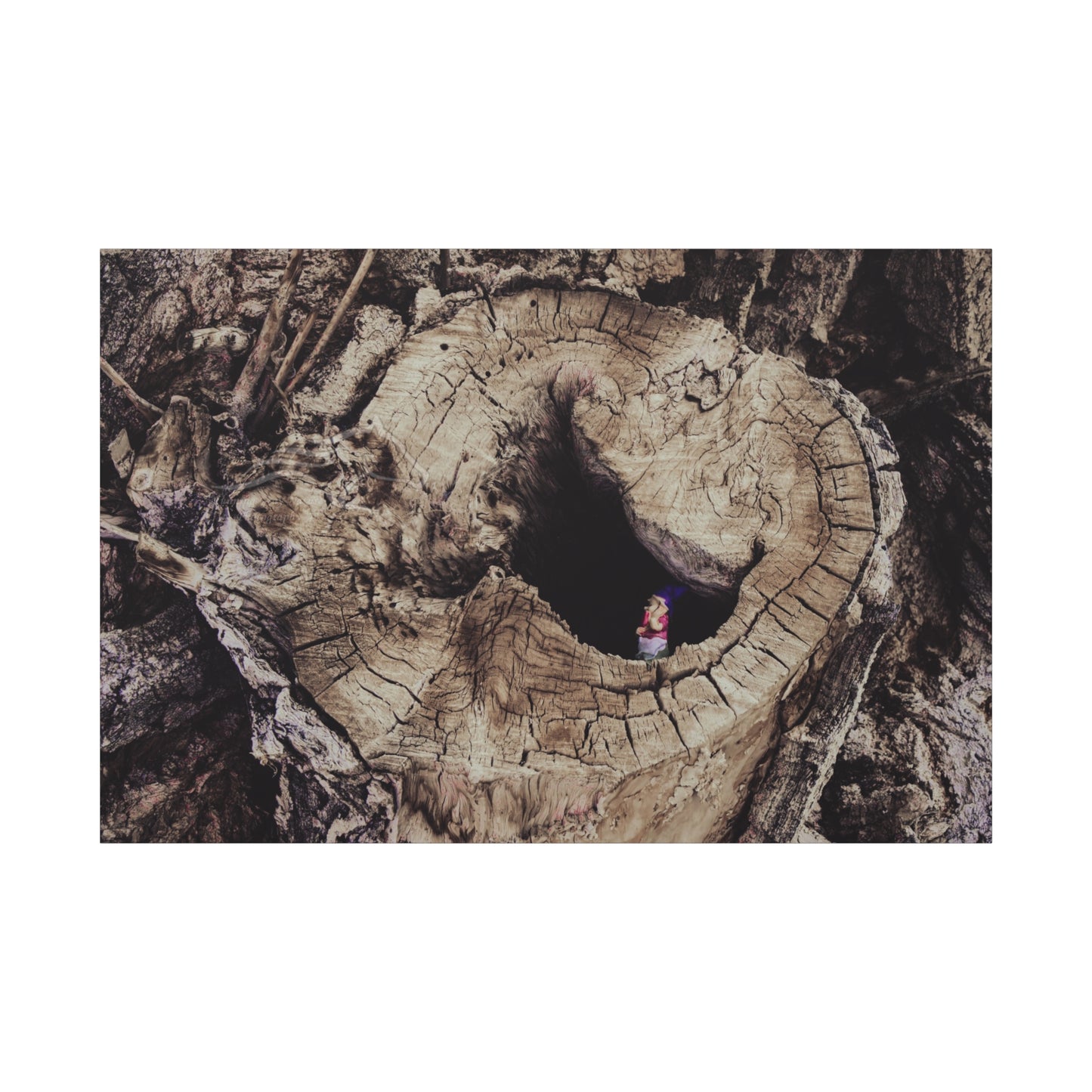 Fairy in a Tree Canvas