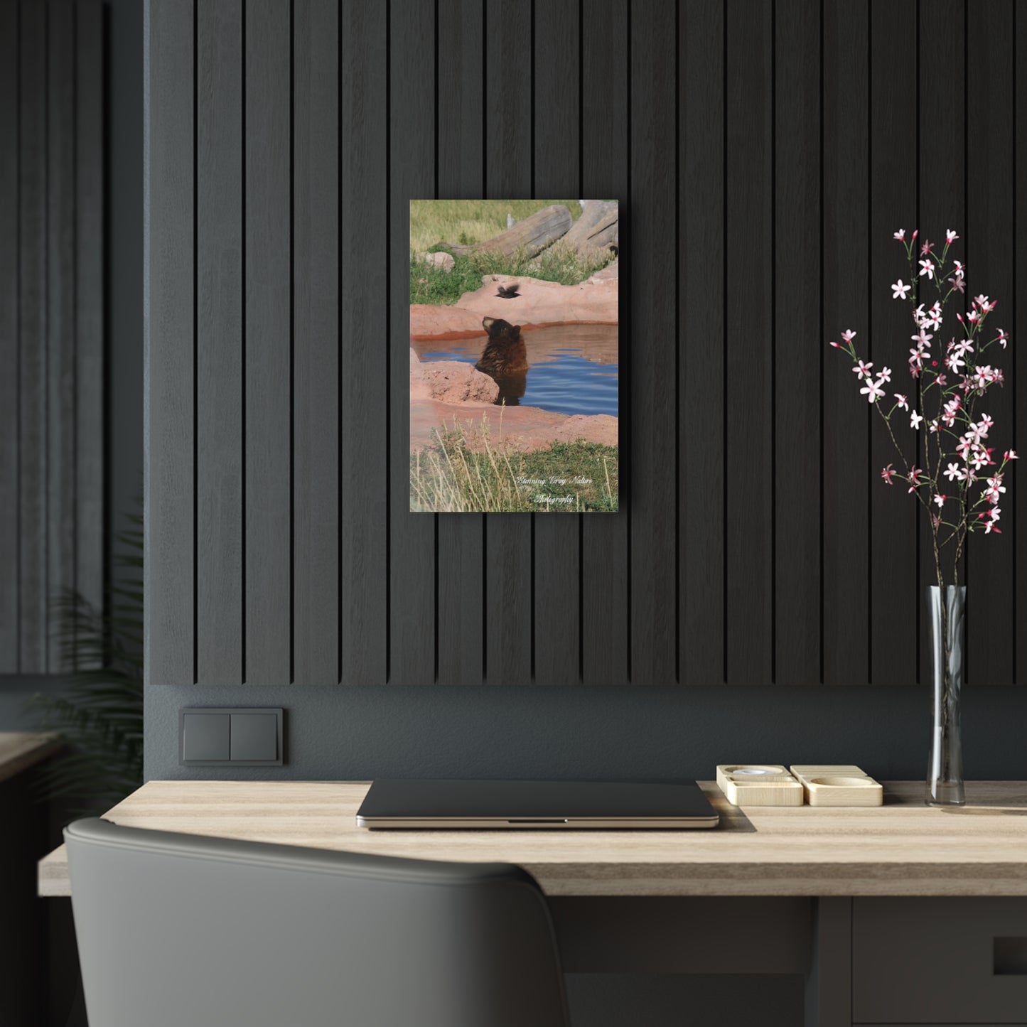 Bird Watching Acrylic Prints