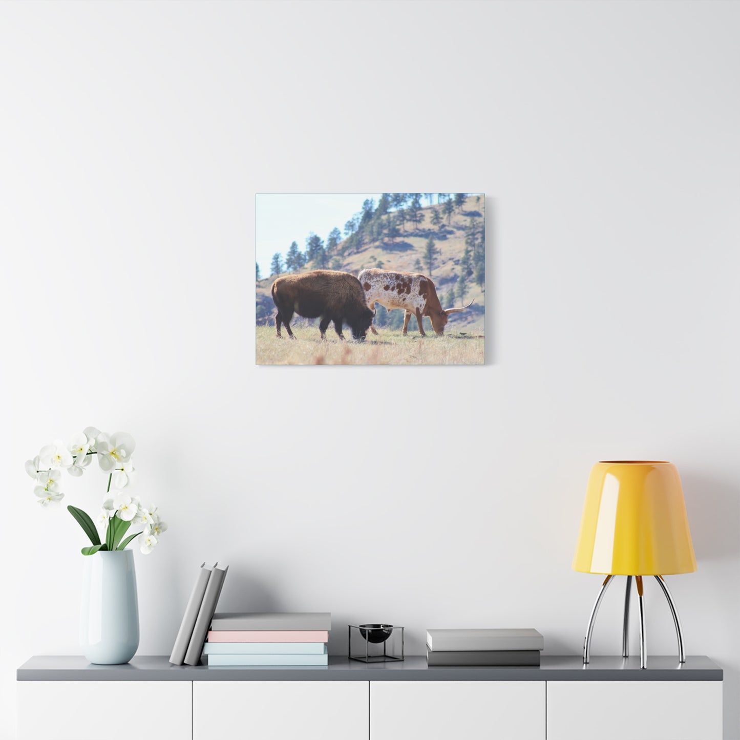 Long Horn and Buffalo Canvas