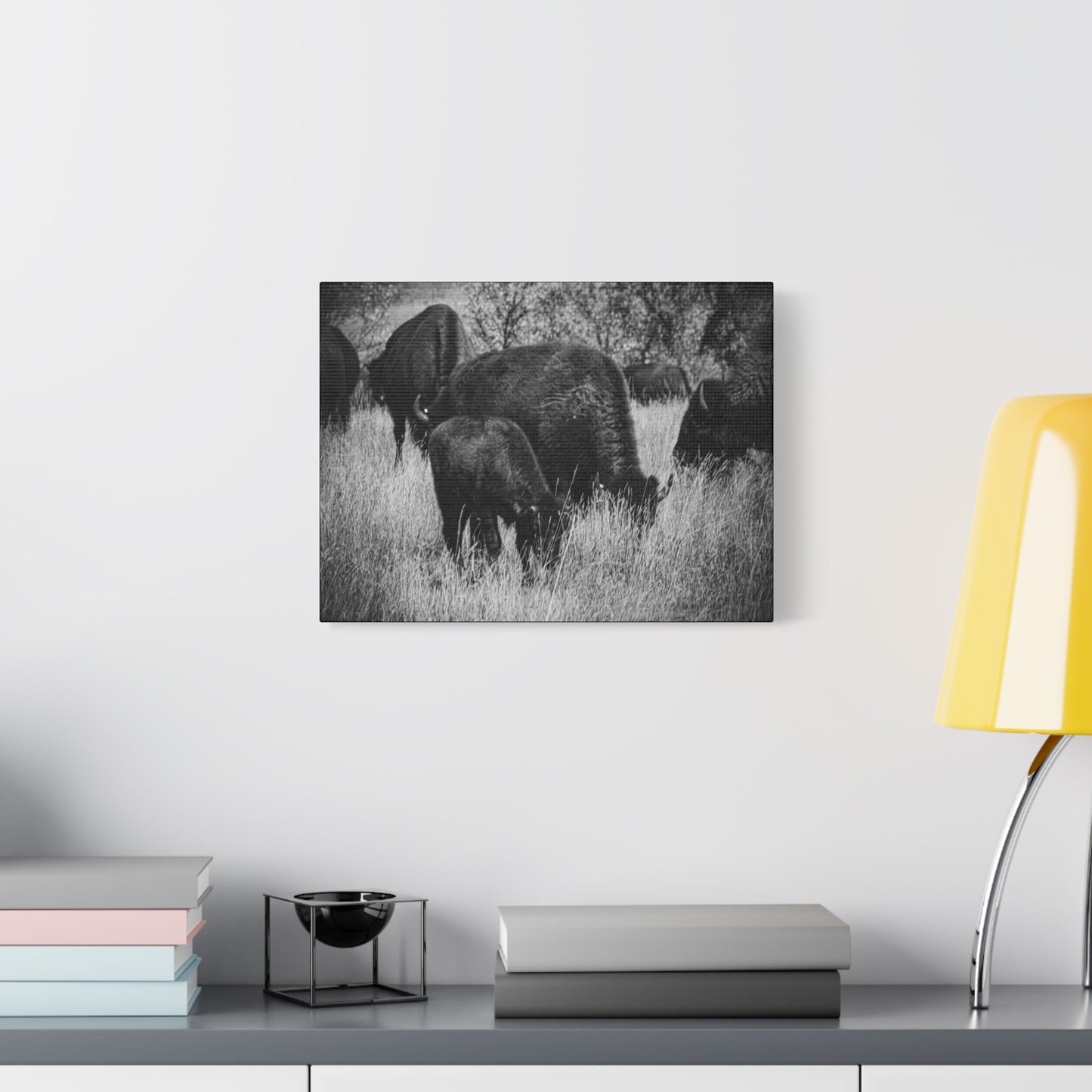 Black and White Buffalo Canvas