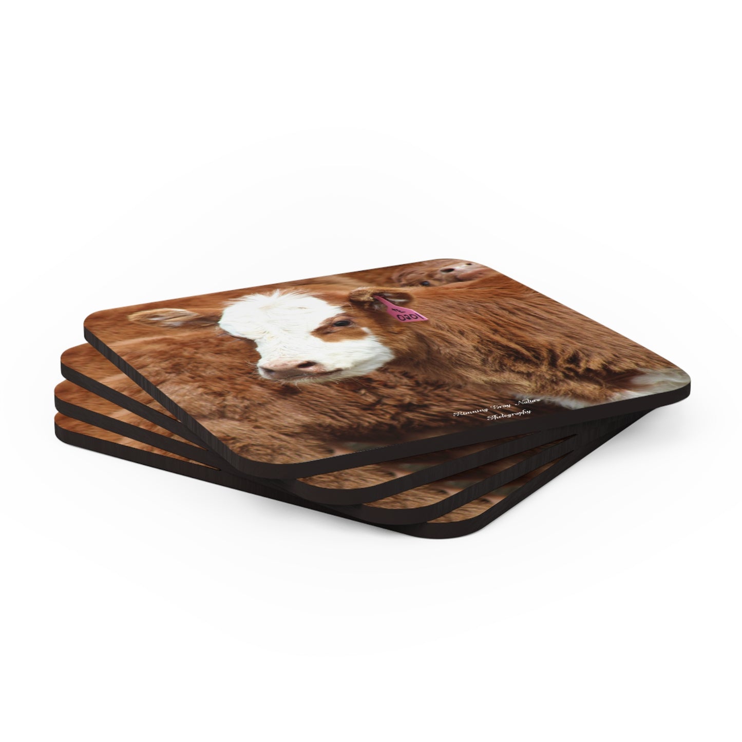 Red, White-Faced Calf Coasters