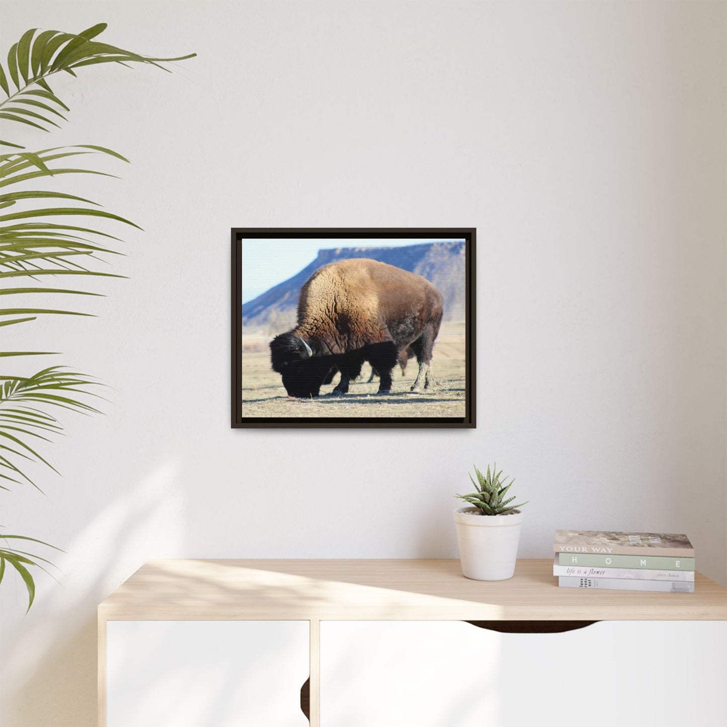 Big Daddy Buffalo Framed Canvas