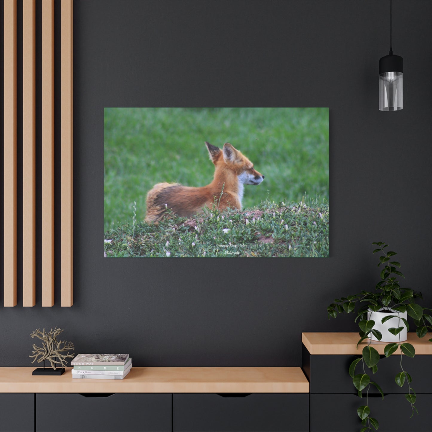 Red Tail Fox Matte Canvas, Stretched, 1.25"