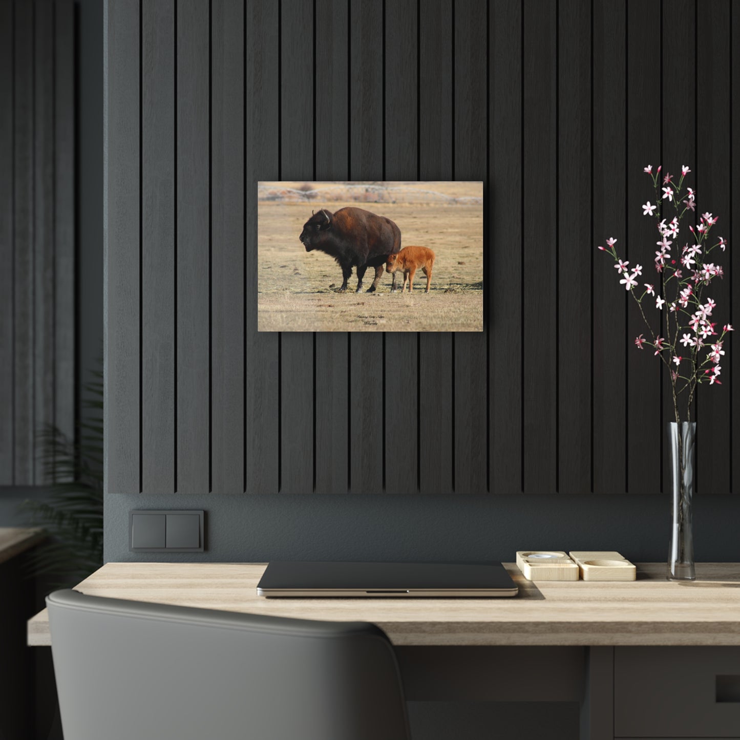 Momma and Baby Buffalo Acrylic Prints